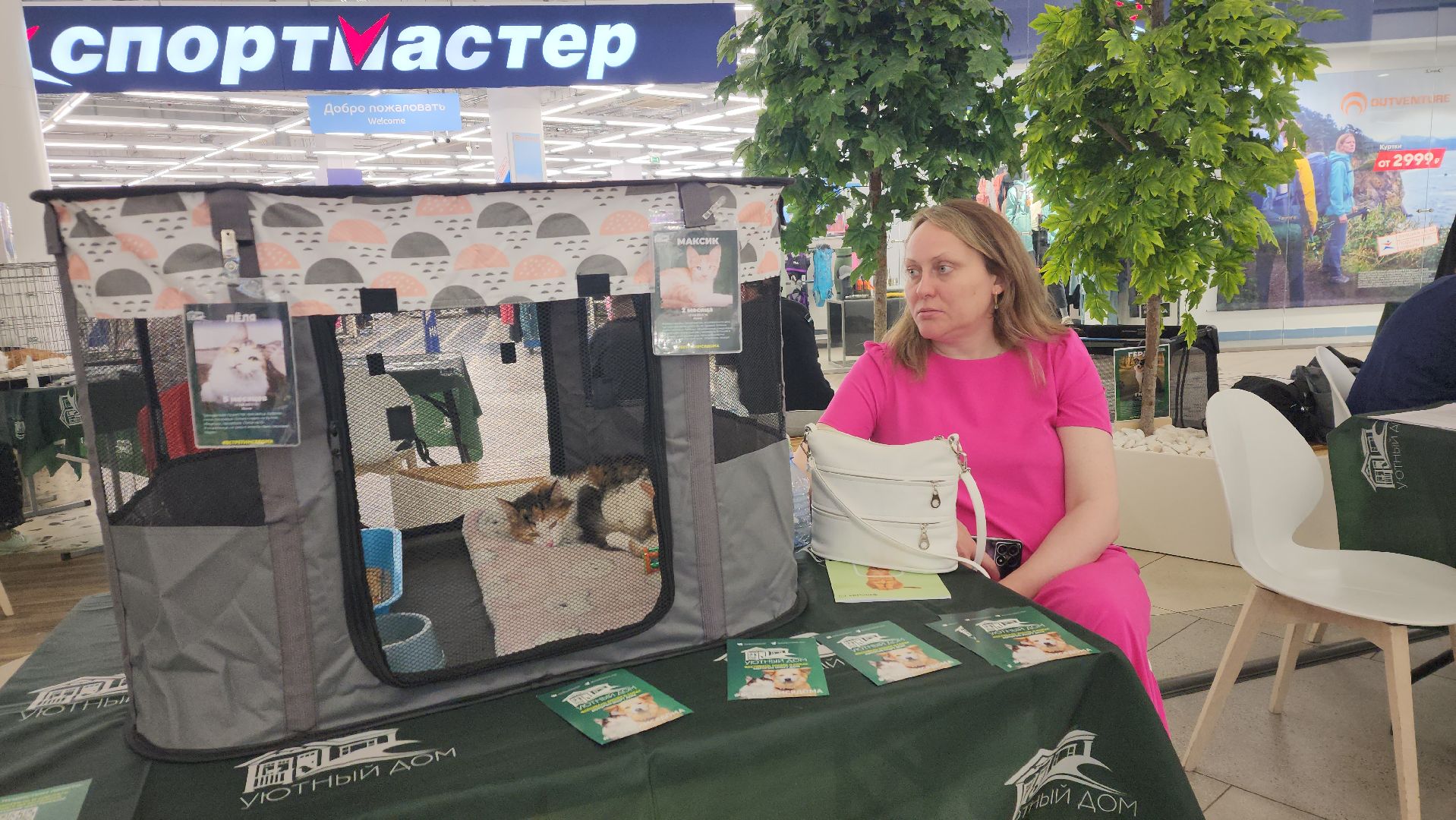 пушкино, пушкино парк,бездомные животные, пристройство,кедры,собаки,кошки,дом доброты,