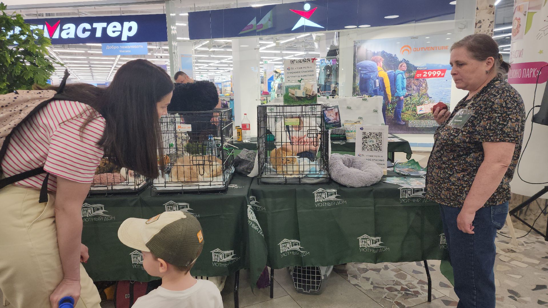 пушкино, пушкино парк,бездомные животные, пристройство,кедры,собаки,кошки,дом доброты,