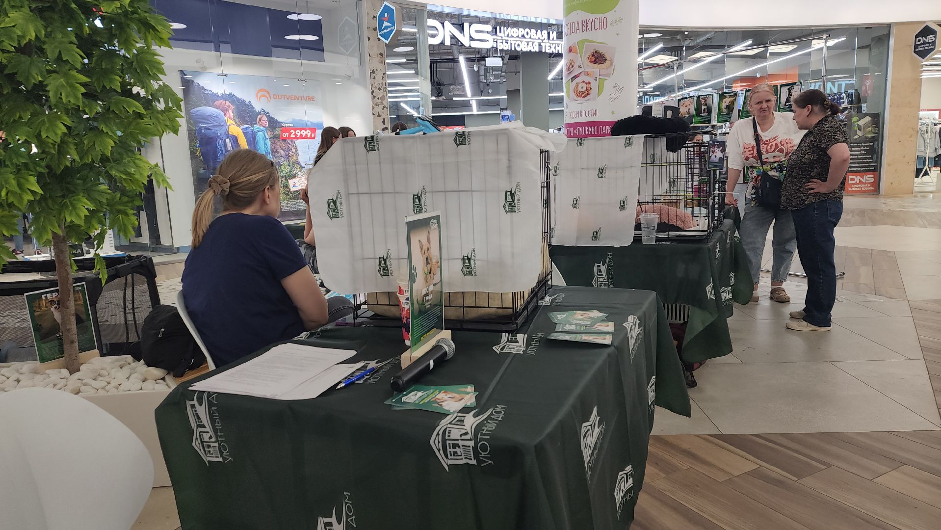 пушкино, пушкино парк,бездомные животные, пристройство,кедры,собаки,кошки,дом доброты,