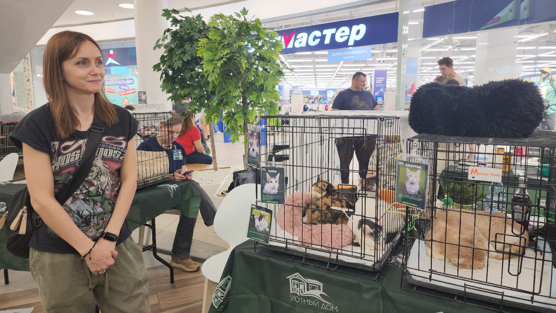 пушкино, пушкино парк,бездомные животные, пристройство,кедры,собаки,кошки,дом доброты,