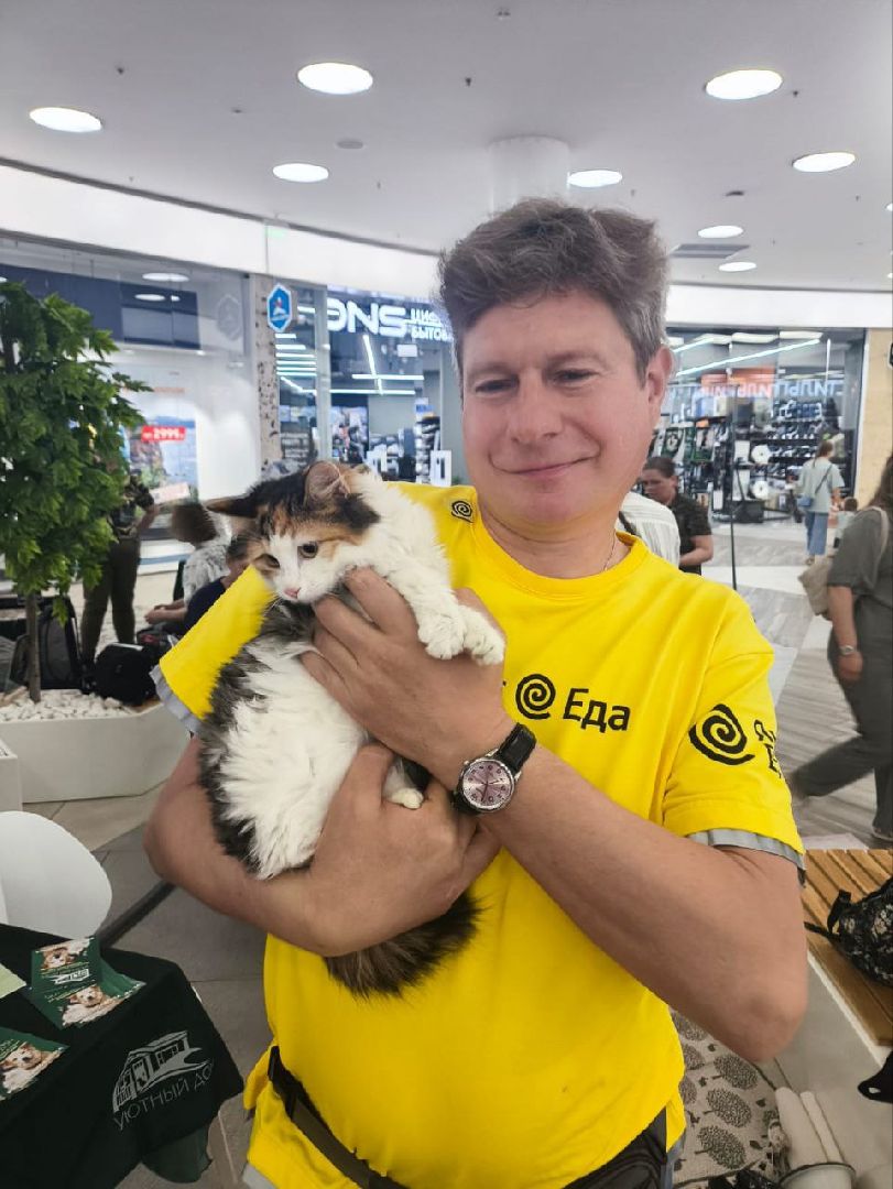 пушкино, пушкино парк,бездомные животные, пристройство,кедры,собаки,кошки,дом доброты,