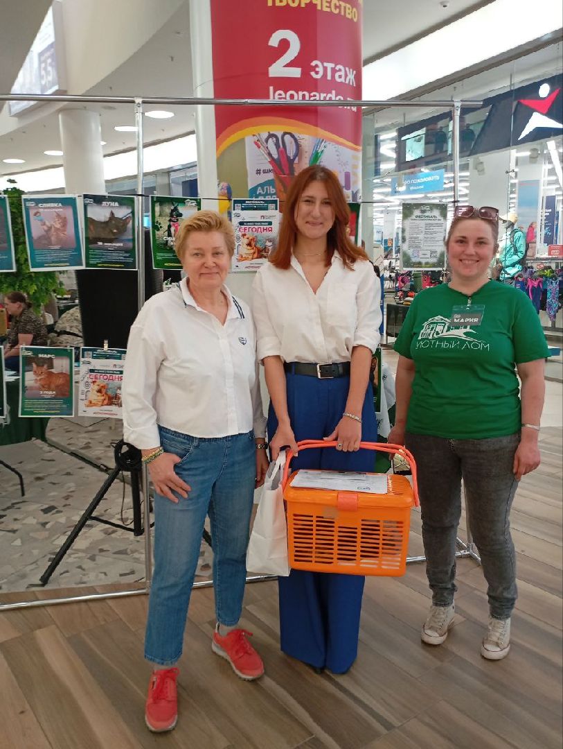 пушкино, пушкино парк,бездомные животные, пристройство,кедры,собаки,кошки,дом доброты,