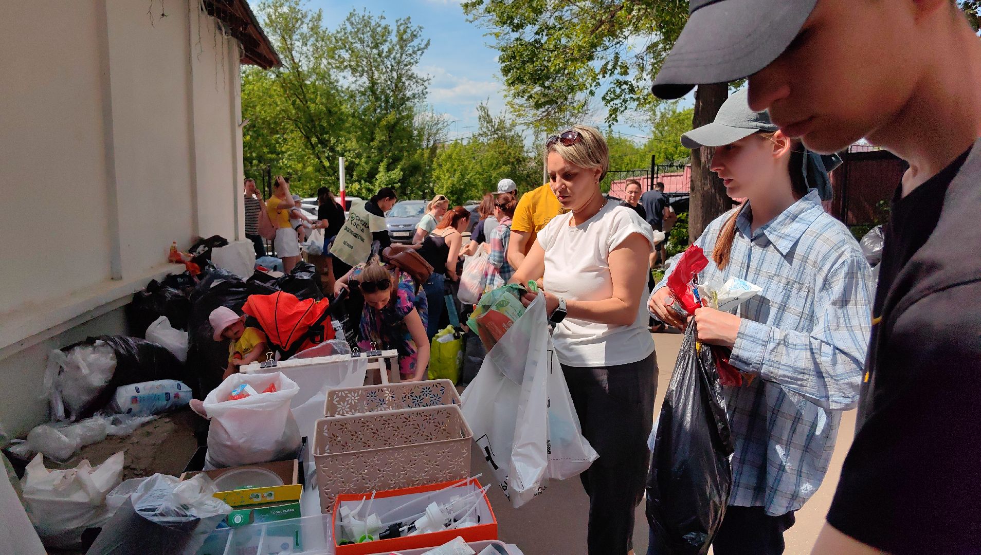 экология, сбор, отходы, среда роста,