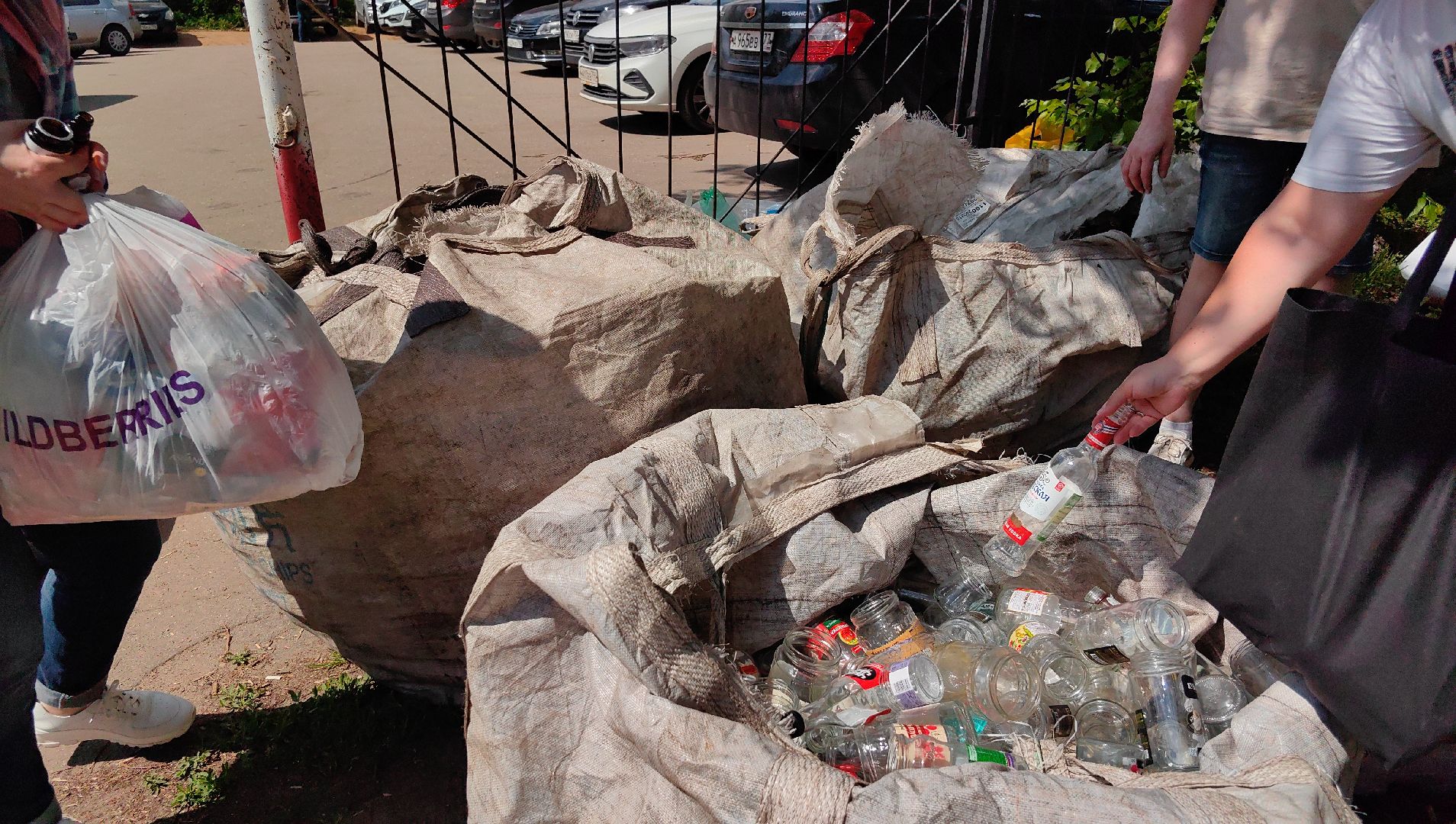 экология, сбор, отходы, среда роста,