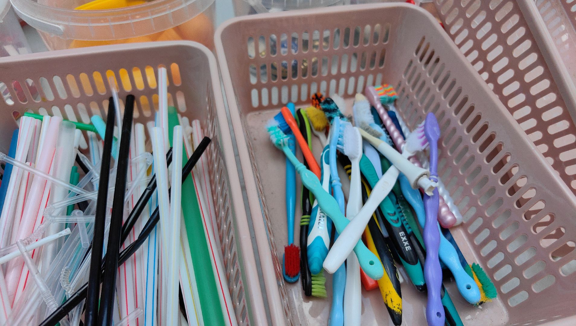 экология, сбор, отходы, среда роста,