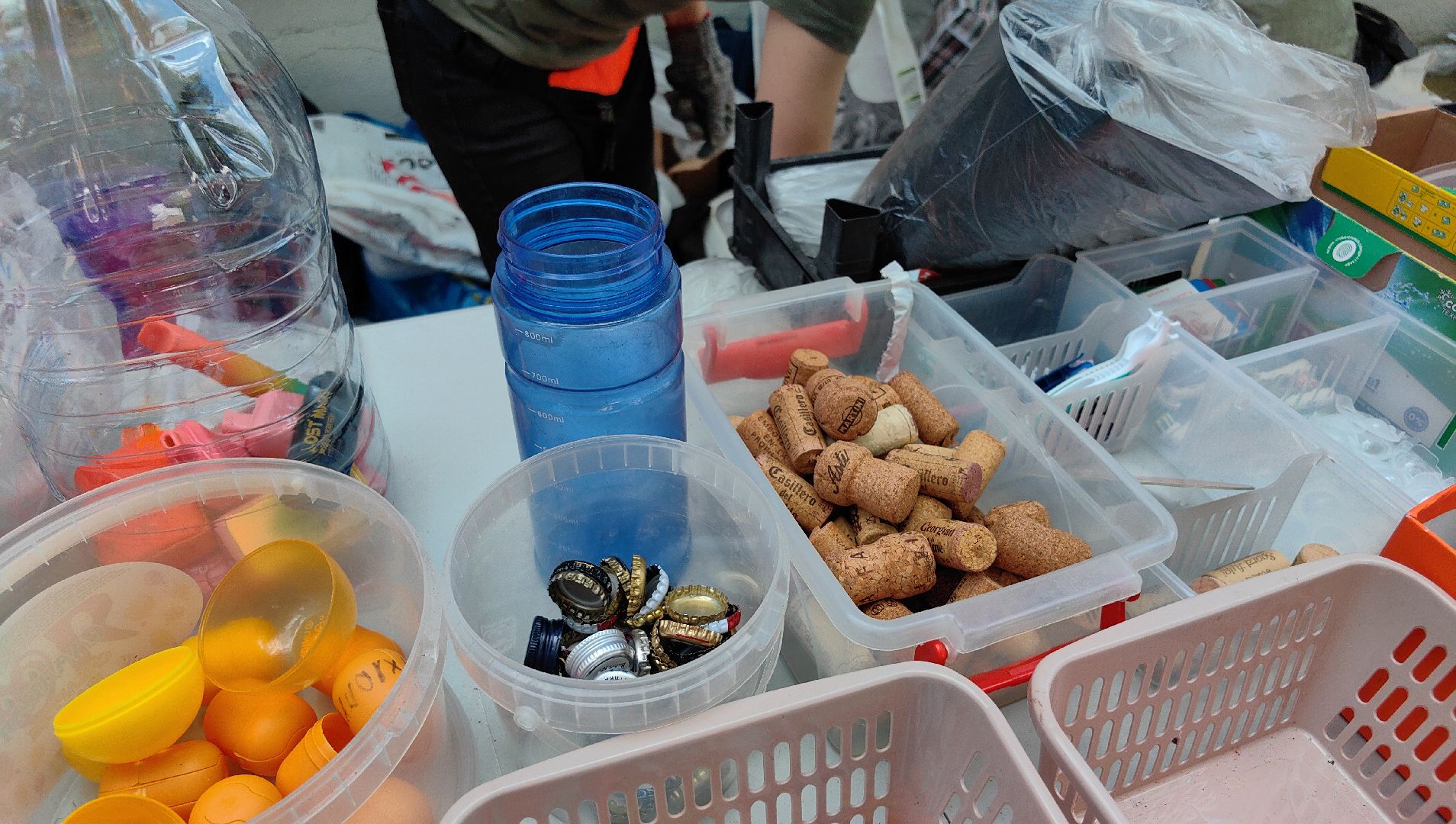 экология, сбор, отходы, среда роста,