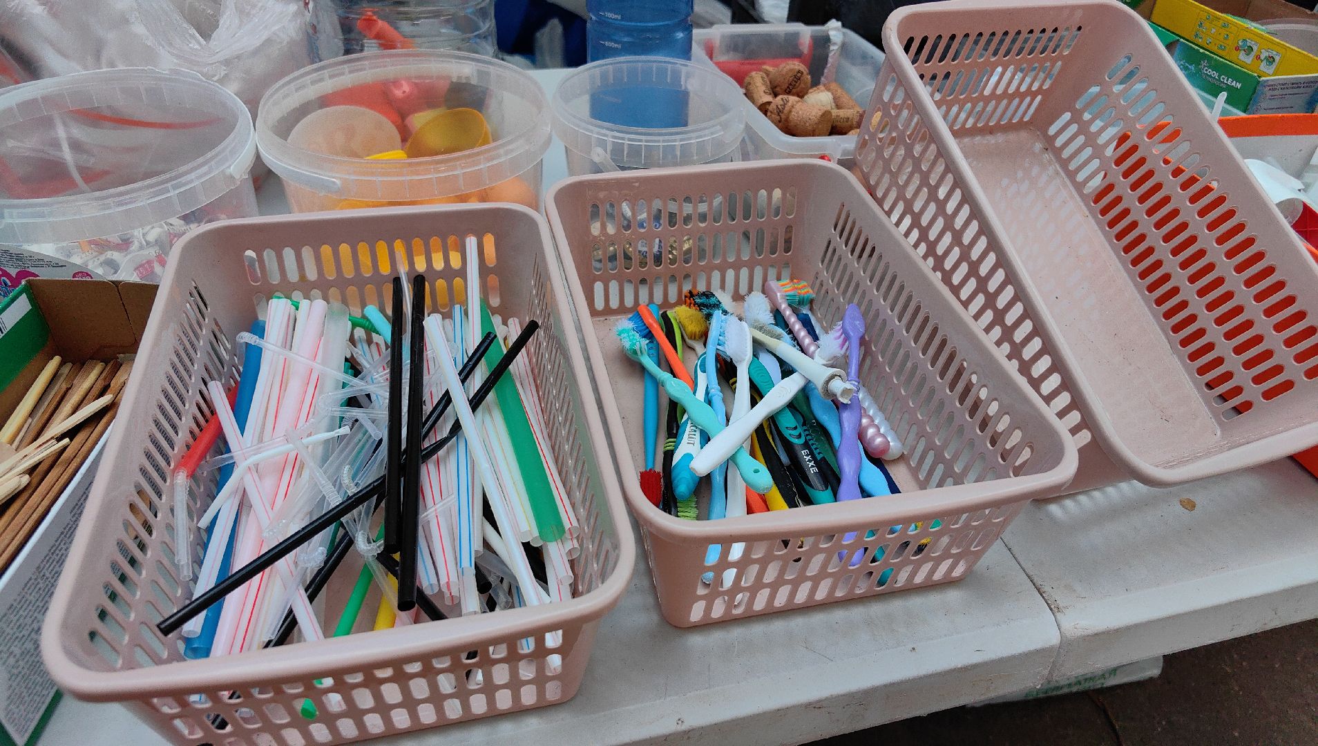 экология, сбор, отходы, среда роста,