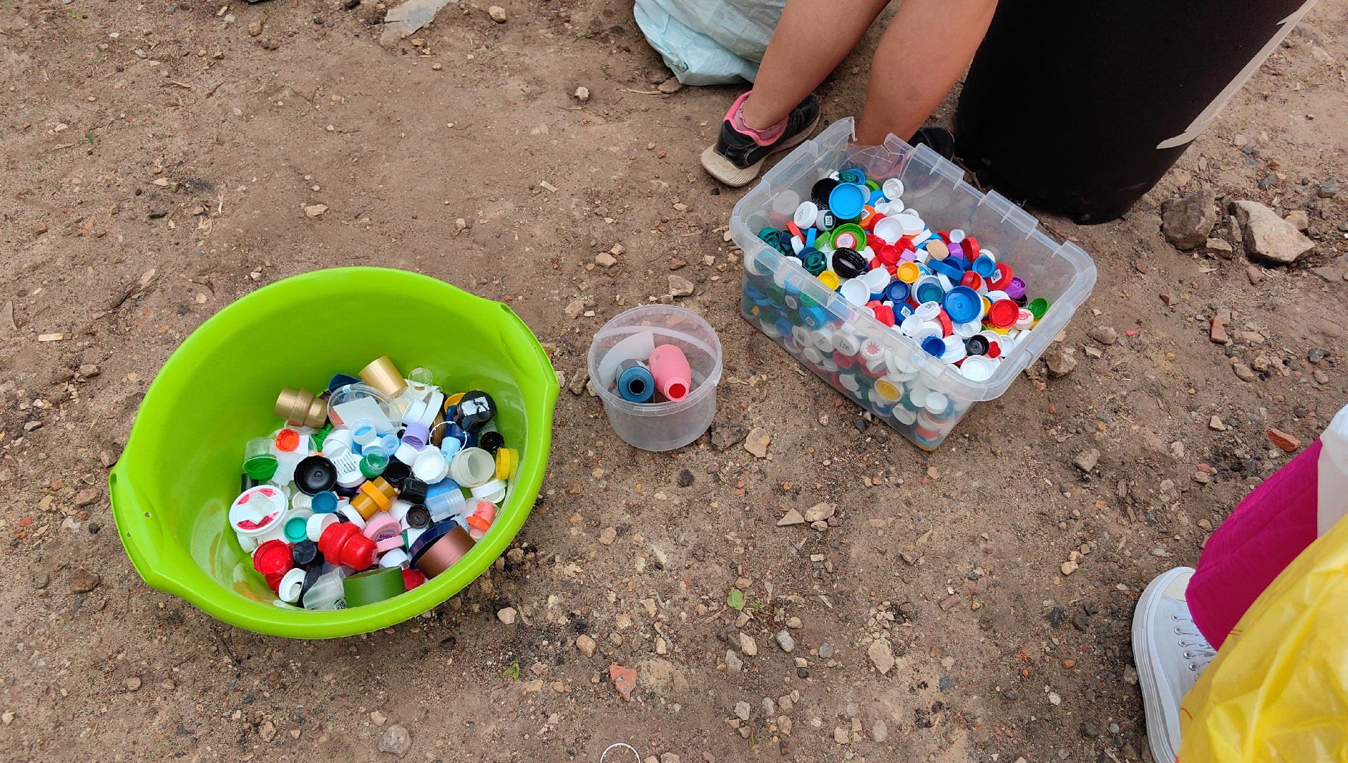 экология, сбор, отходы, среда роста,