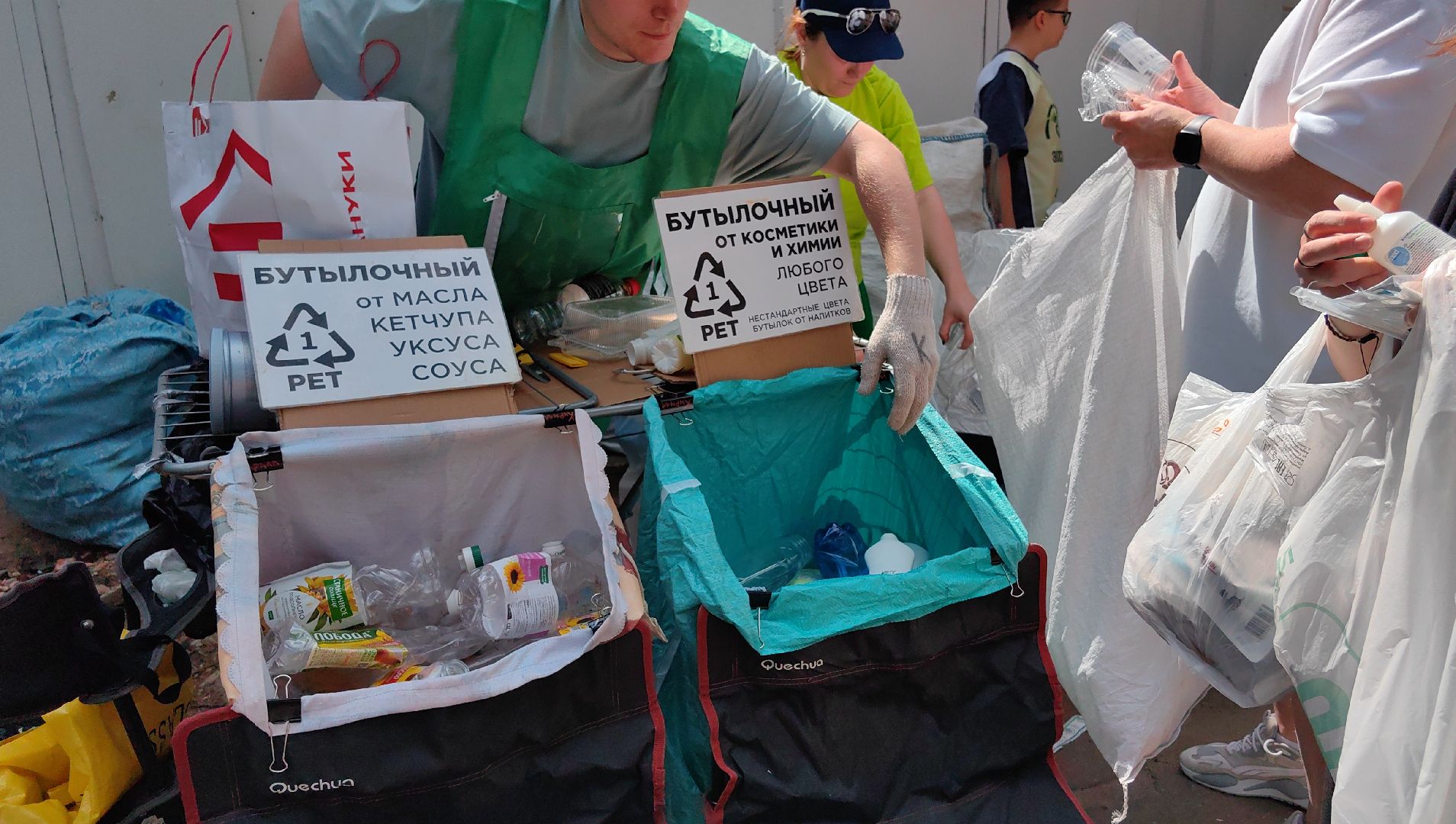 экология, сбор, отходы, среда роста,