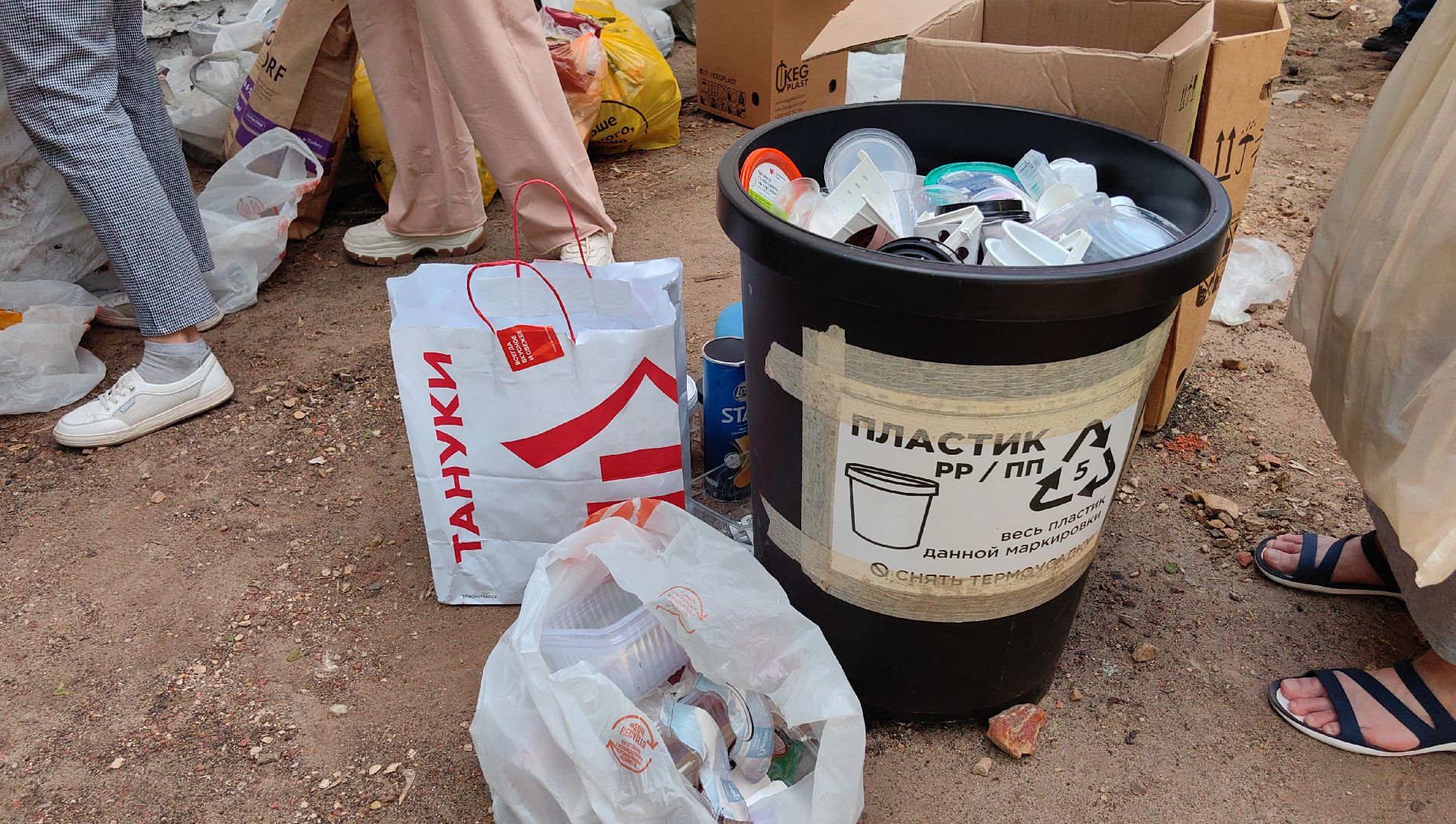 экология, сбор, отходы, среда роста,