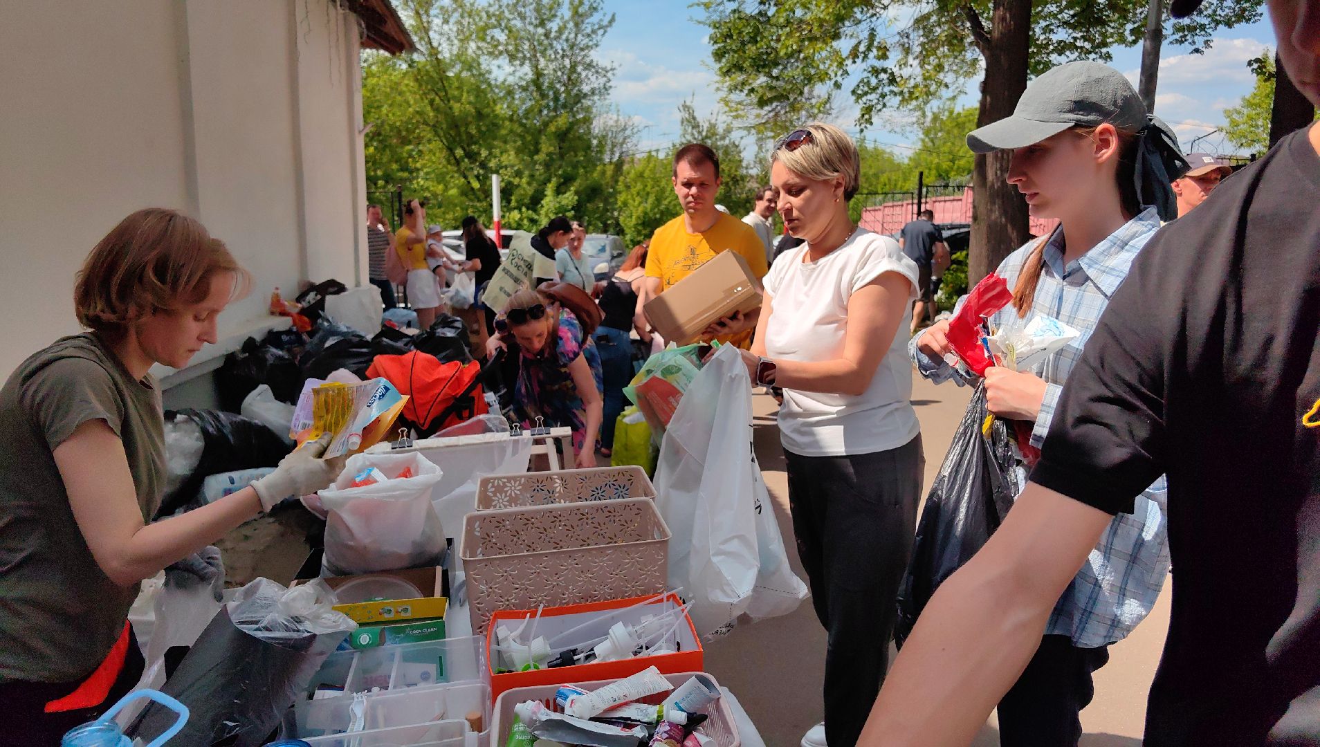 экология, сбор, отходы, среда роста,