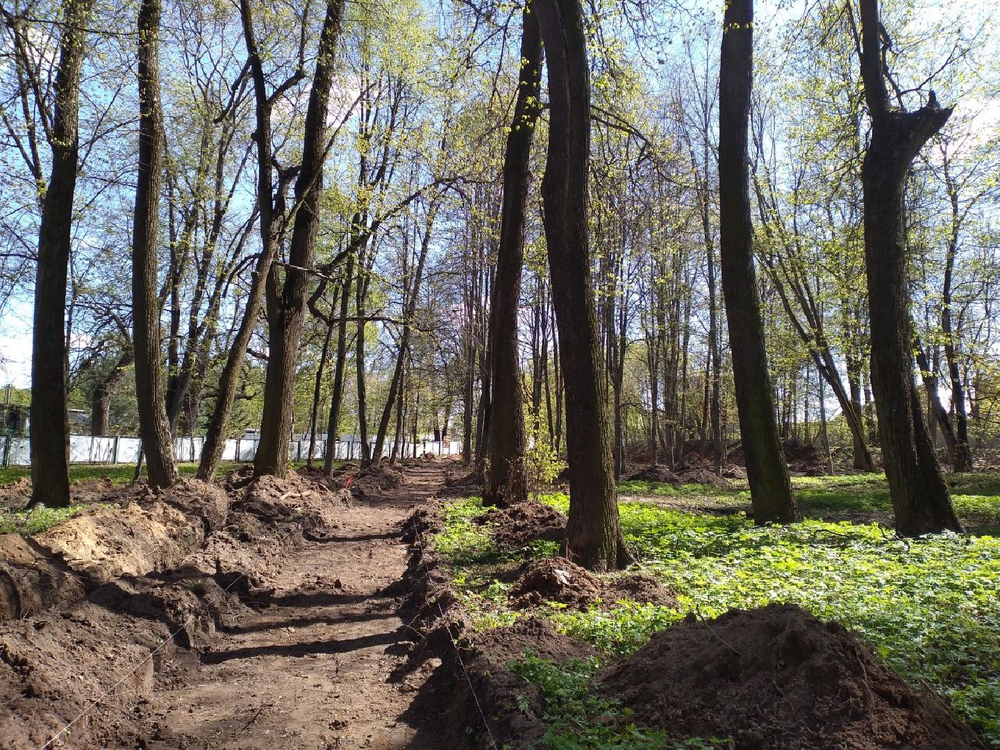 парк, благоустройство, нацпроект, Лосино-Петровский