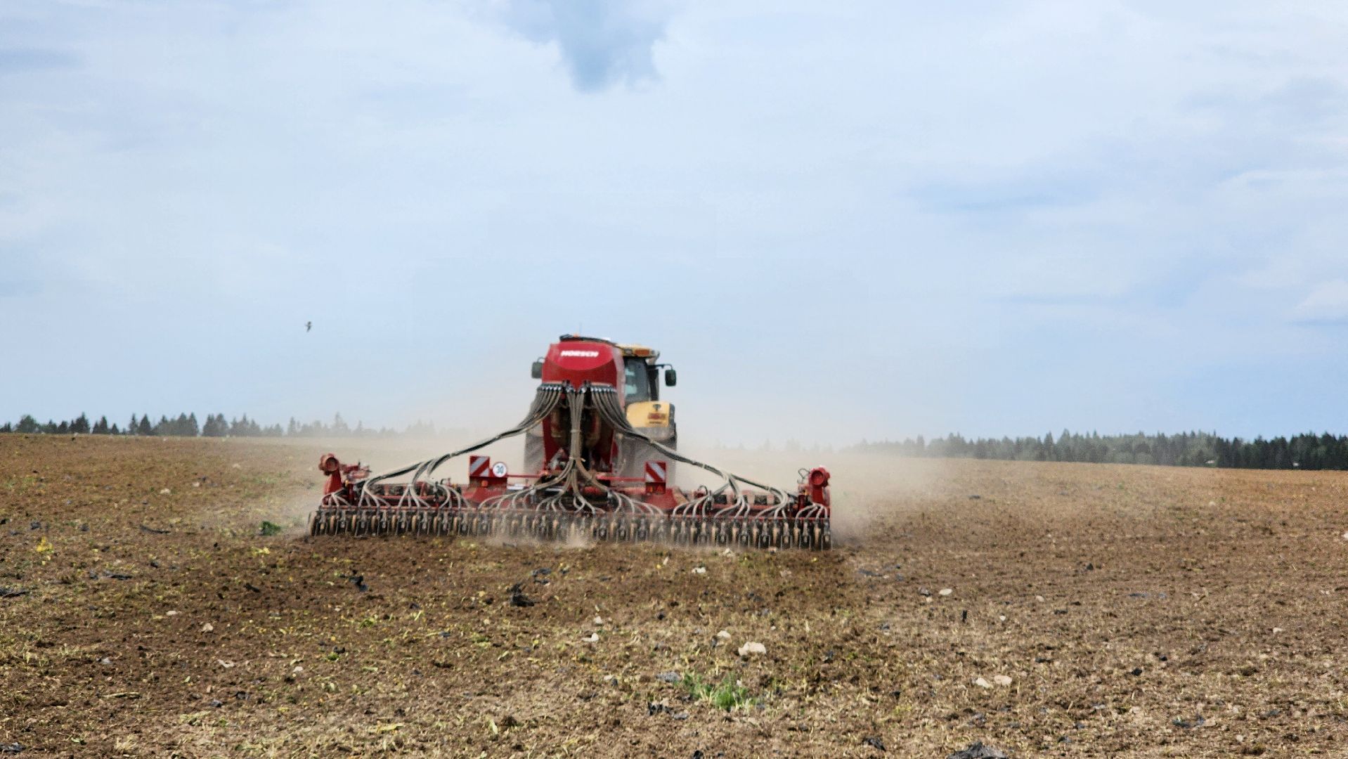 волоколамск, посевная 2025,