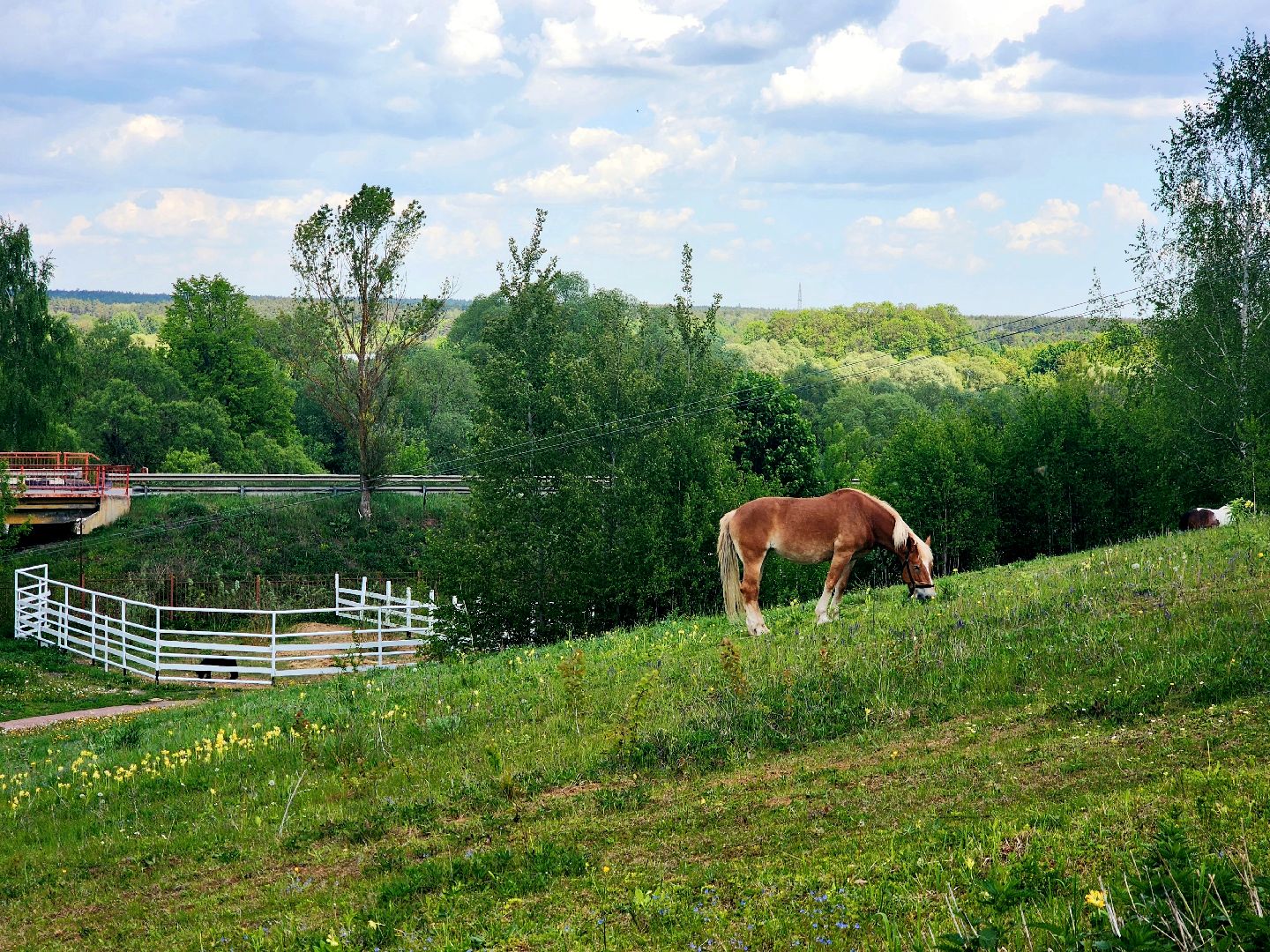 пущино, серпухов, лето в подмосковье, туризм в подмосковье,
