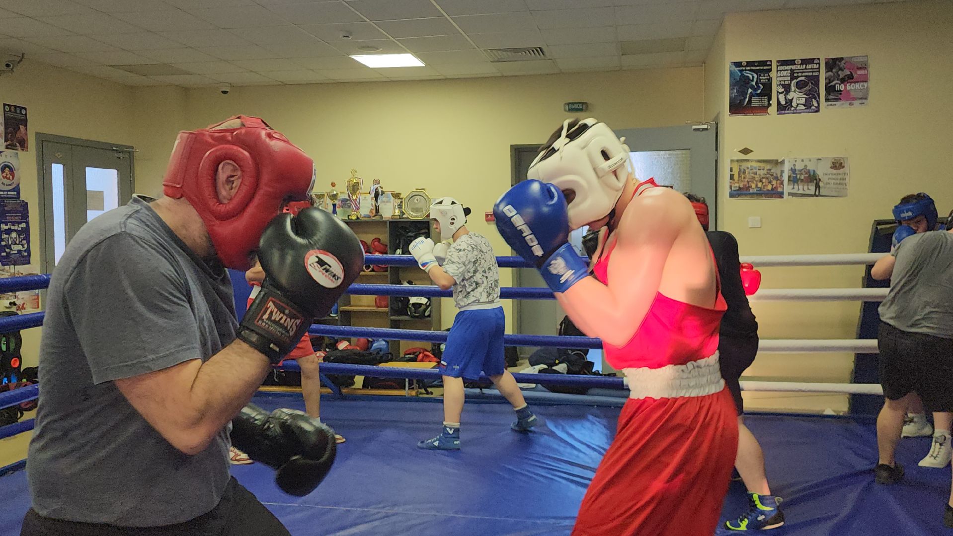 Истра, Бокс, Спорт,