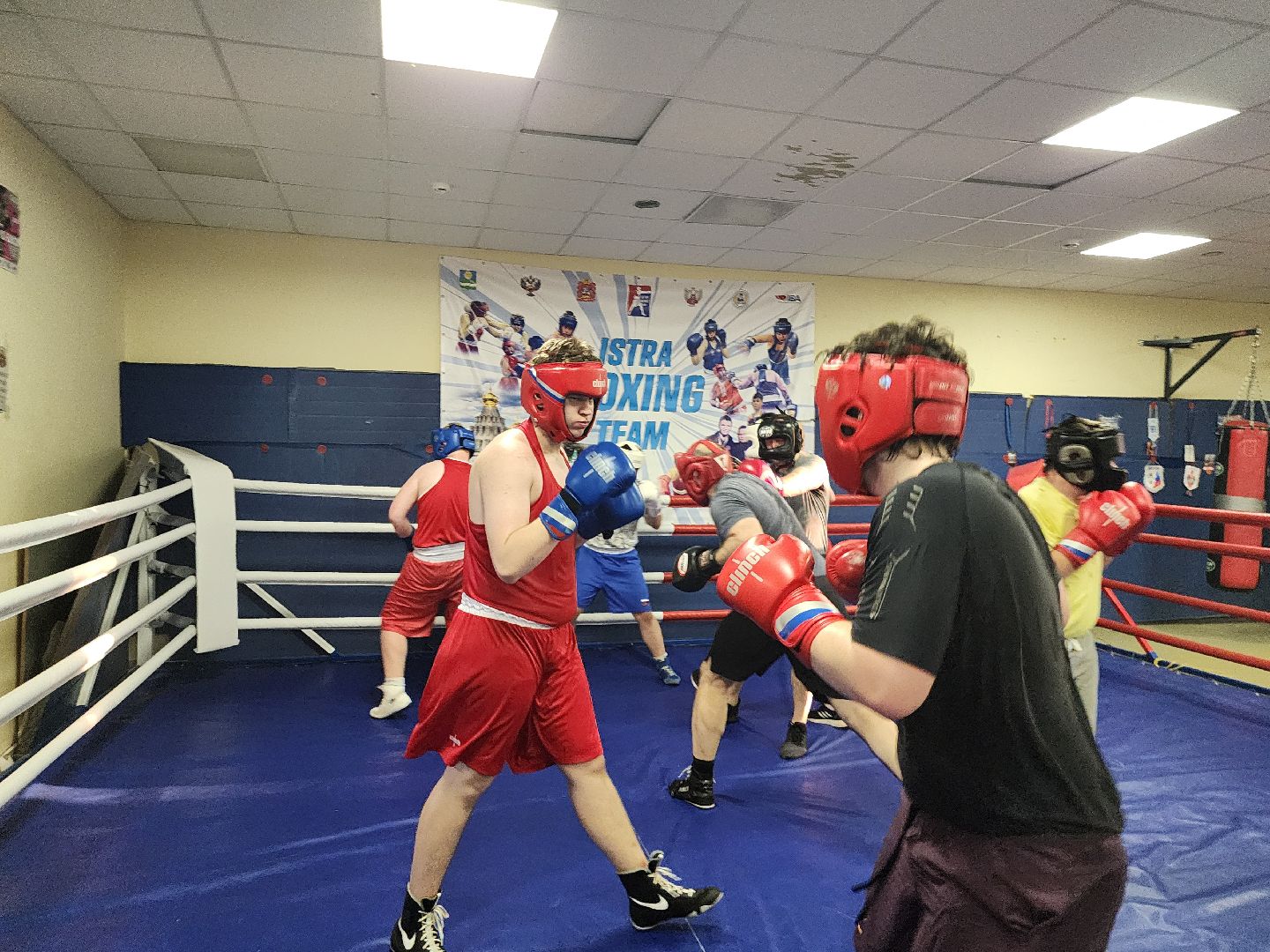 Истра, Бокс, Спорт,