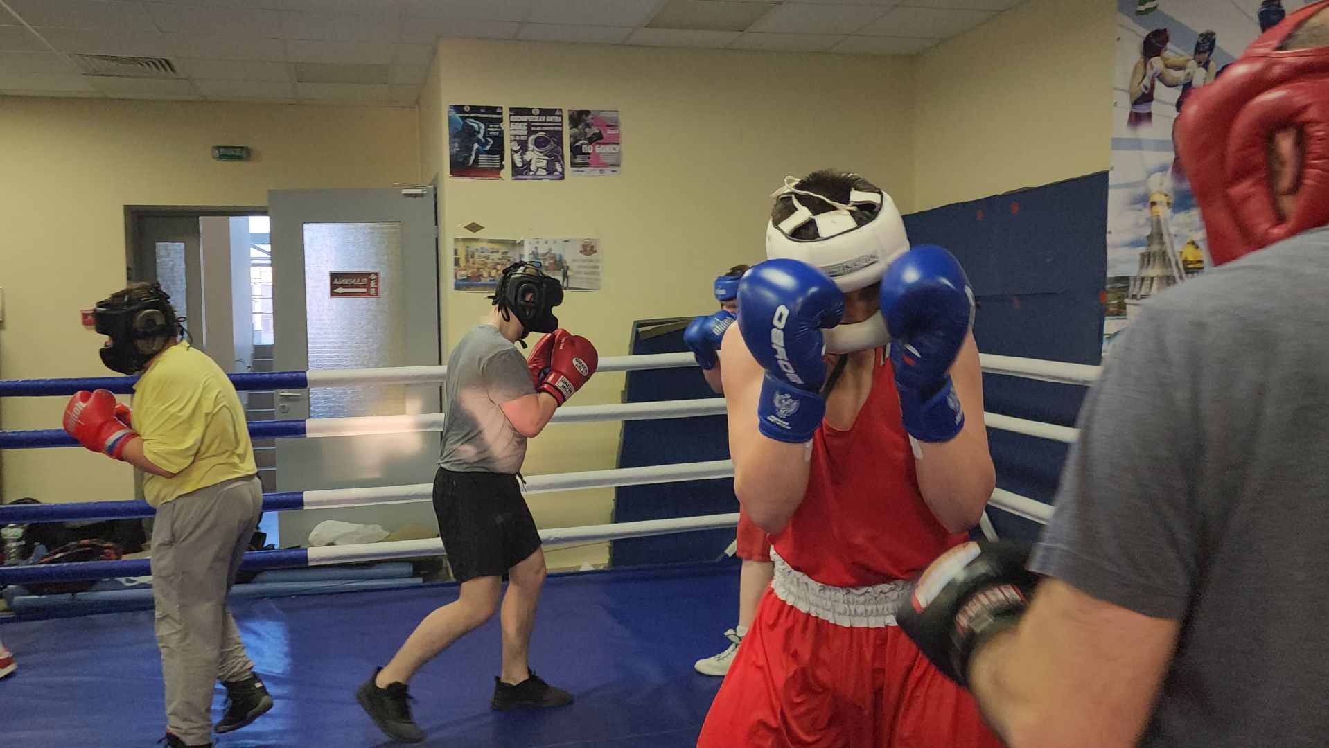 Истра, Бокс, Спорт,