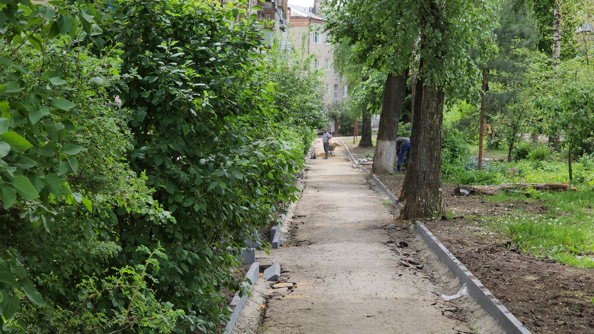 кашира, комплексное благоустройство дворов, тротуары, парковки, входные группы, асфальтирование дворов,