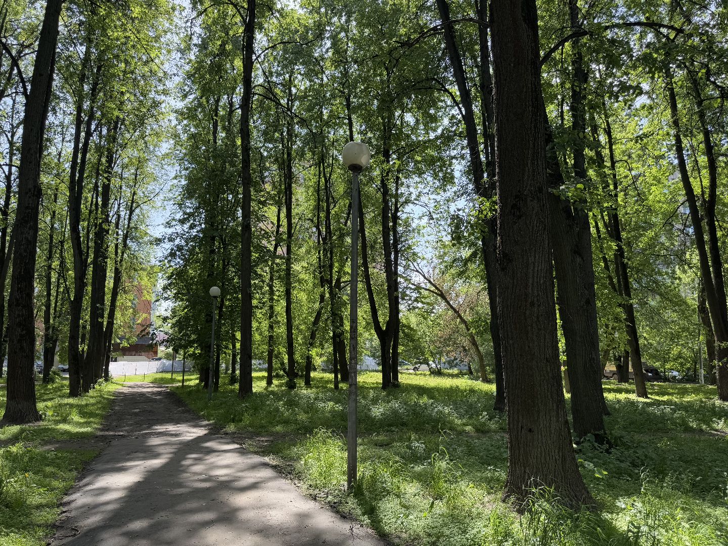 сквер по улице крупешина, благоустройство, балашиха,