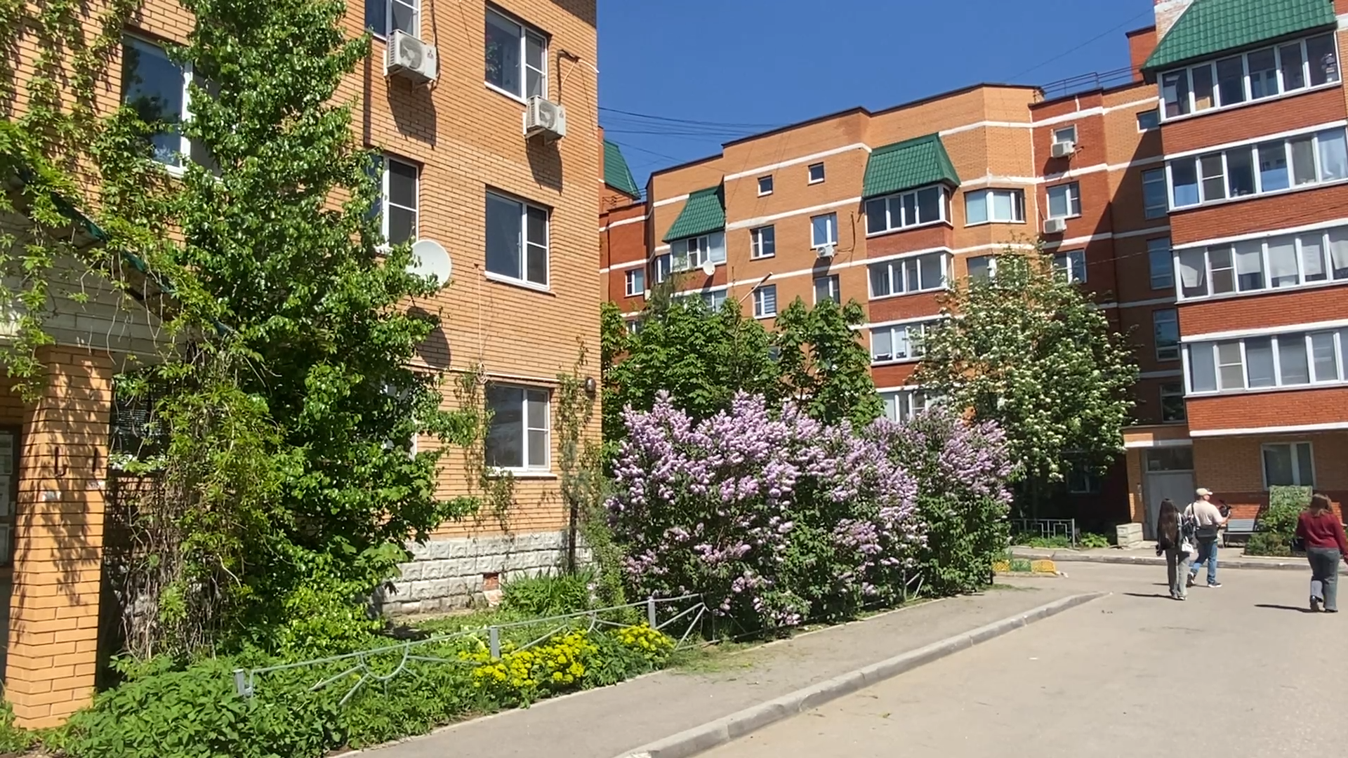 обход территории власиха, микрорайон Березки, власиха улица южная, состояние территории,уборка территории,