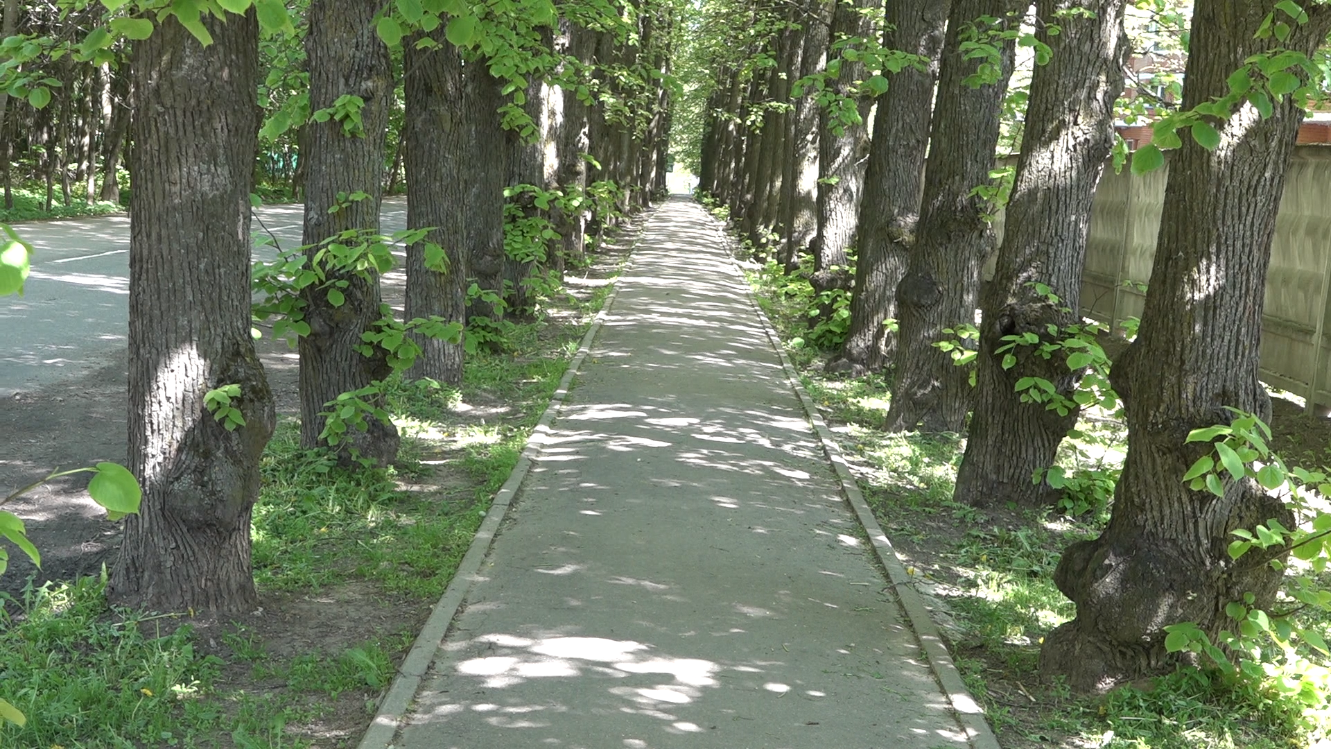 обход территории власиха, микрорайон Березки, власиха улица южная, состояние территории,уборка территории,