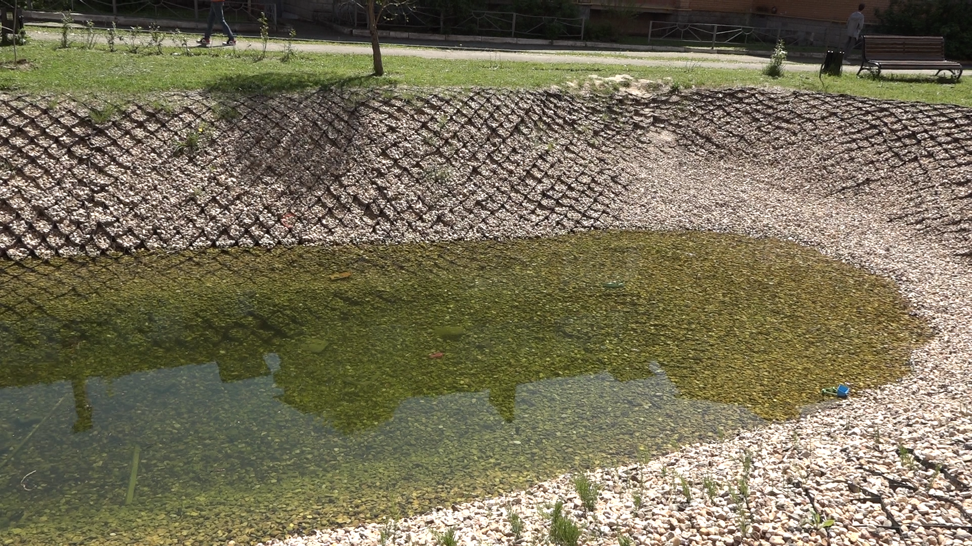 обход территории власиха, микрорайон Березки, власиха улица южная, состояние территории,уборка территории,