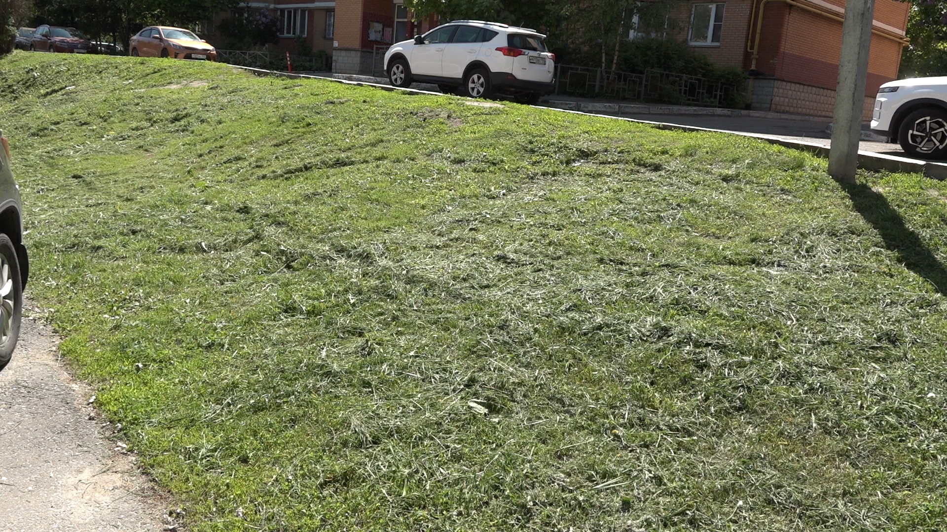 обход территории власиха, микрорайон Березки, власиха улица южная, состояние территории,уборка территории,