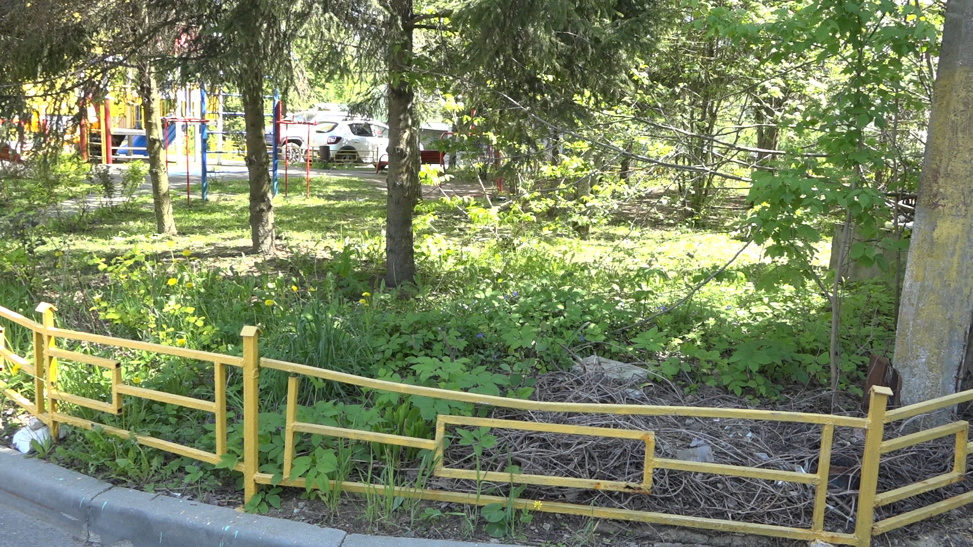 обход территории власиха, микрорайон Березки, власиха улица южная, состояние территории,уборка территории,