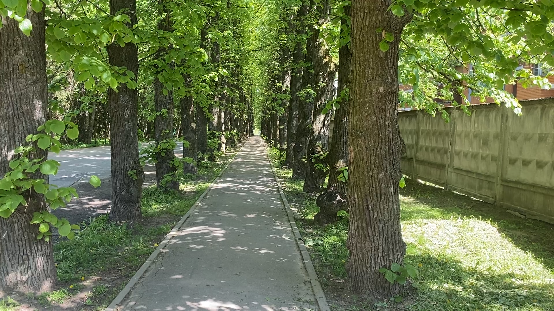 обход территории власиха, микрорайон Березки, власиха улица южная, состояние территории,уборка территории,