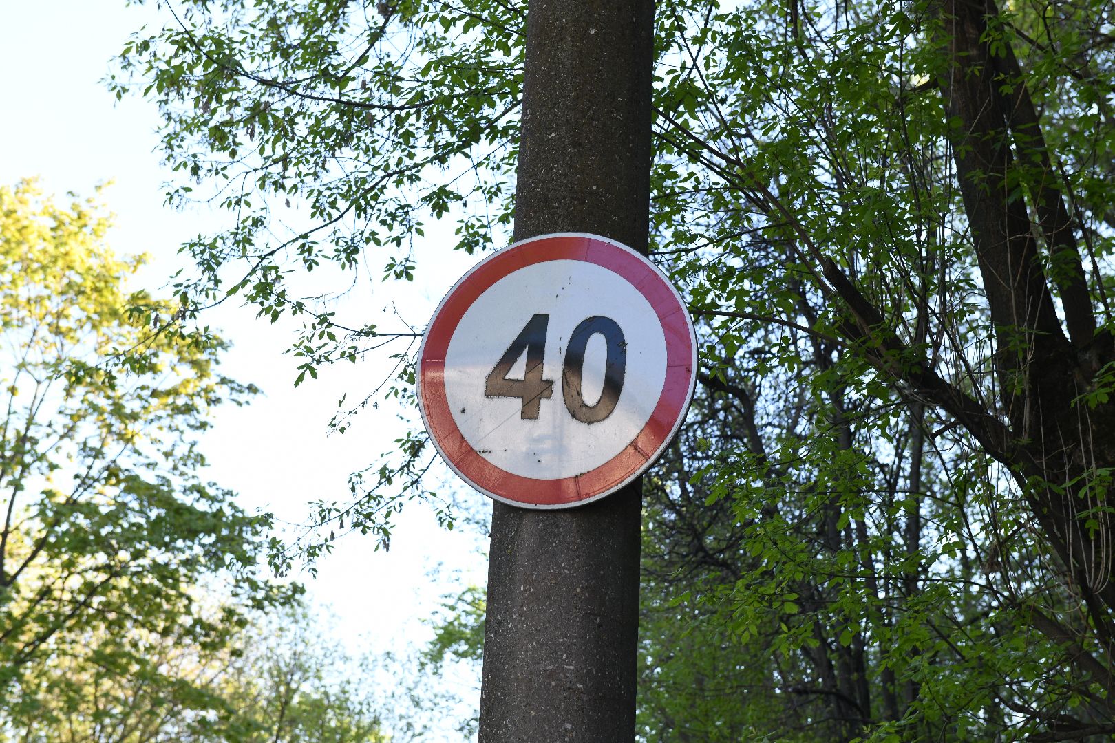 лыткарино, жкх, дорожные знаки,