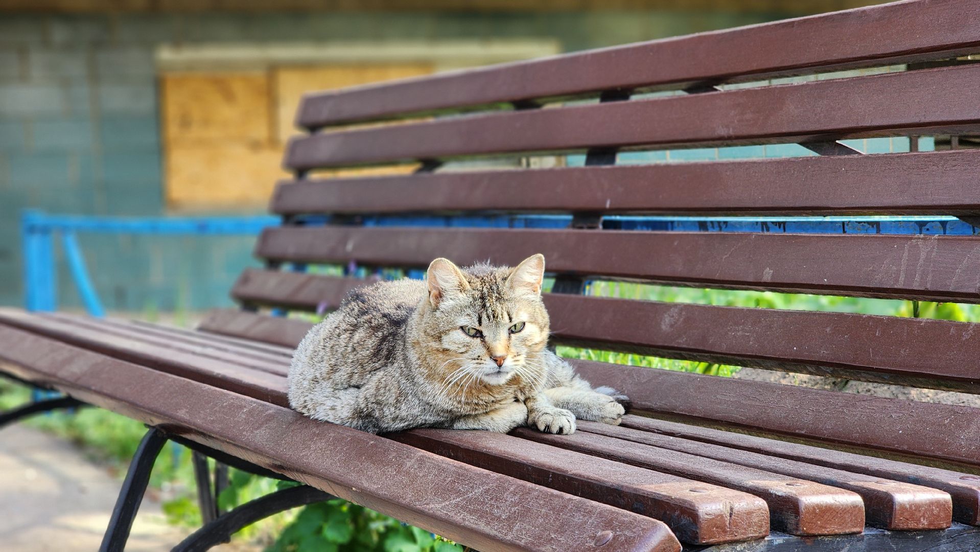 волоколамск, теряево, спасс, осташево, болычево, ярополец, нелидово, благоустройство, формирование комфортной городской среды,