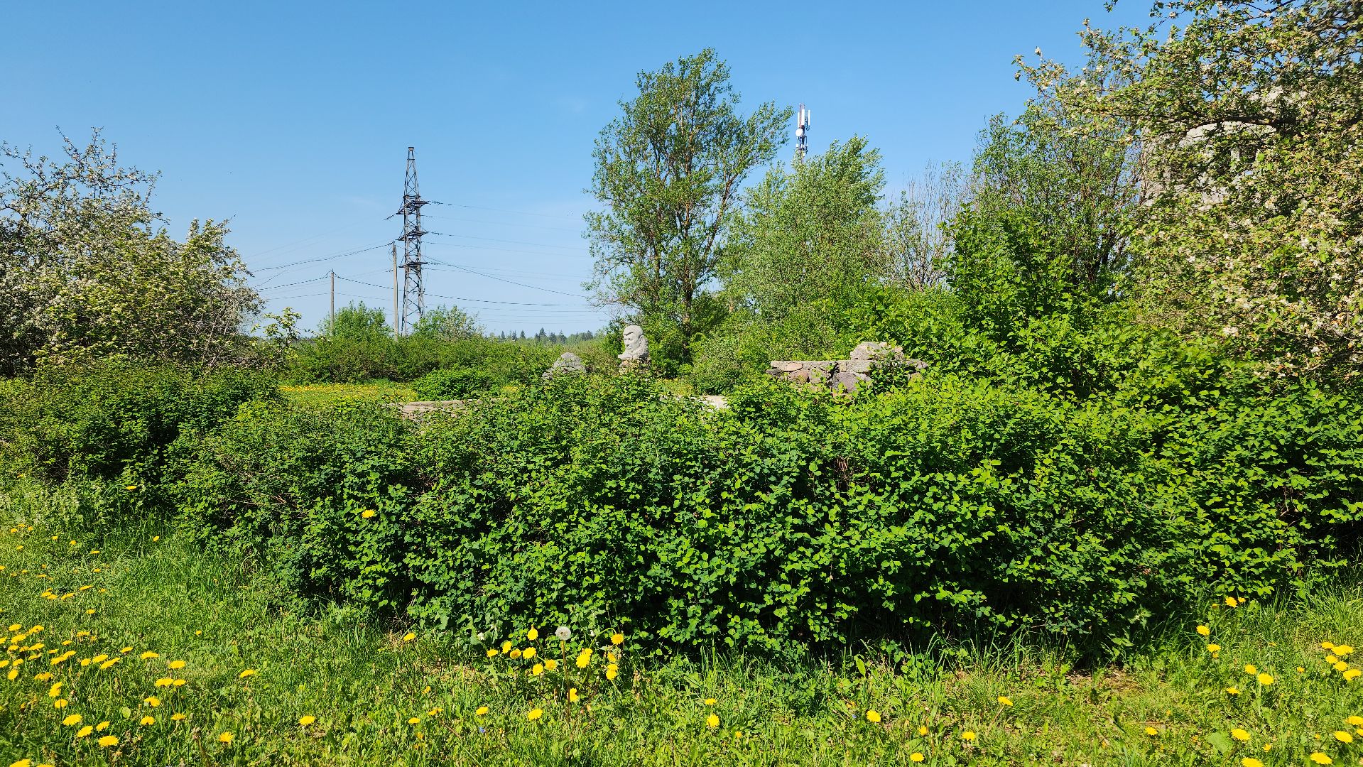 волоколамск, теряево, спасс, осташево, болычево, ярополец, нелидово, благоустройство, формирование комфортной городской среды,