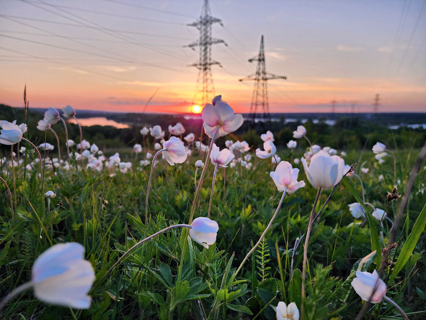 пущино, экология, туризм, лето в подмосковье, серпухов,