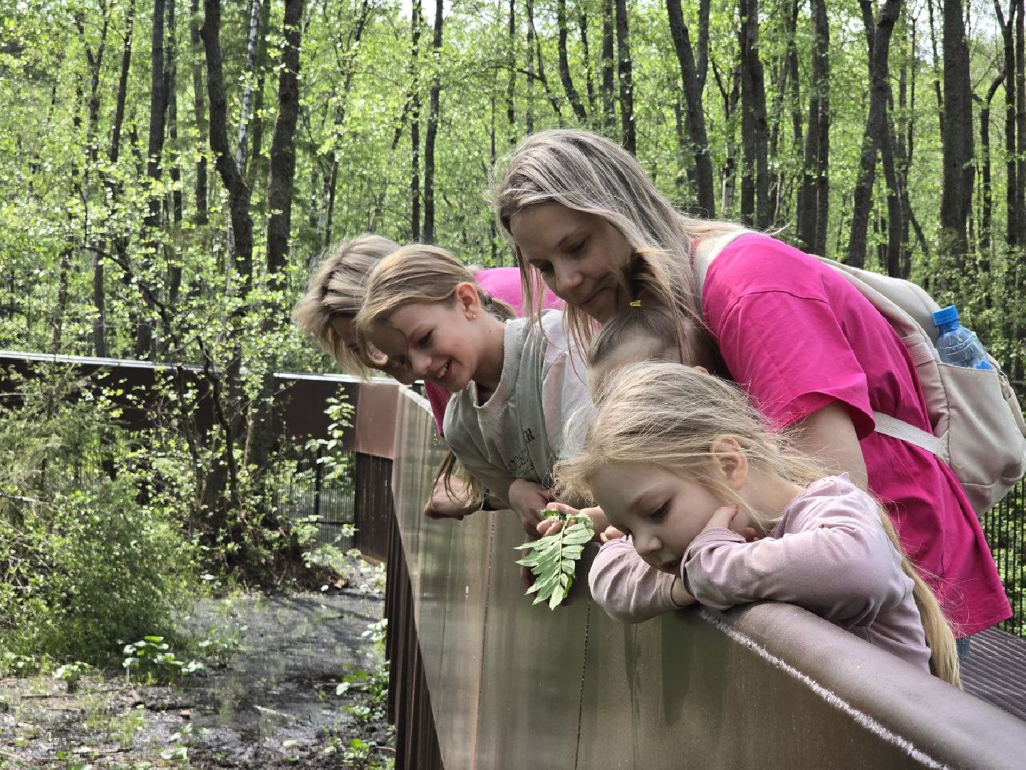 можайск, можайский муниципальный округ, подмосковье, сафари-парк, парк выдр, туризм,