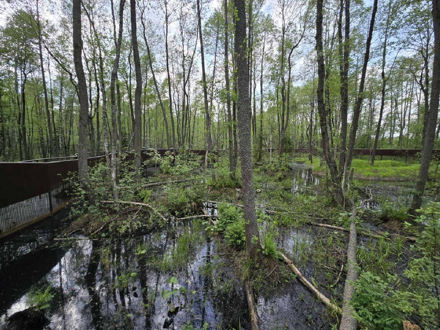 можайск, можайский муниципальный округ, подмосковье, сафари-парк, парк выдр, туризм,