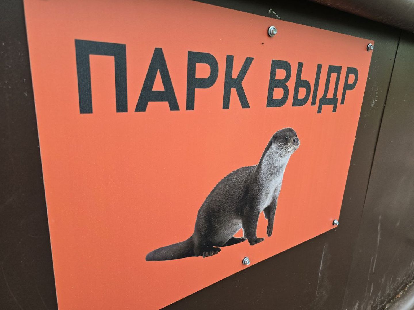 можайск, можайский муниципальный округ, подмосковье, сафари-парк, парк выдр, туризм,