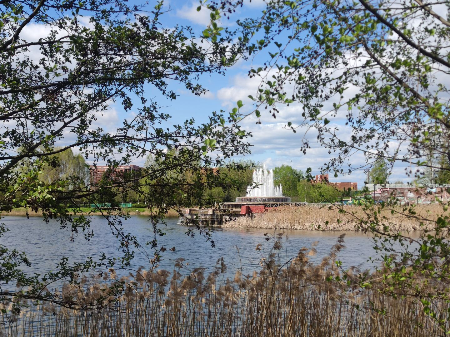 включение фонтанов, благоустройство, Дубна