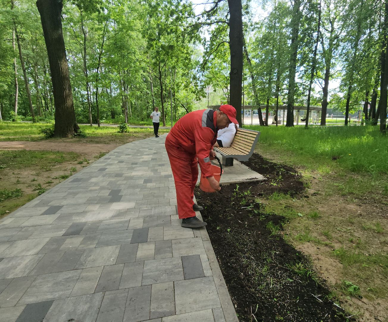 химки, благоустройство , парки,