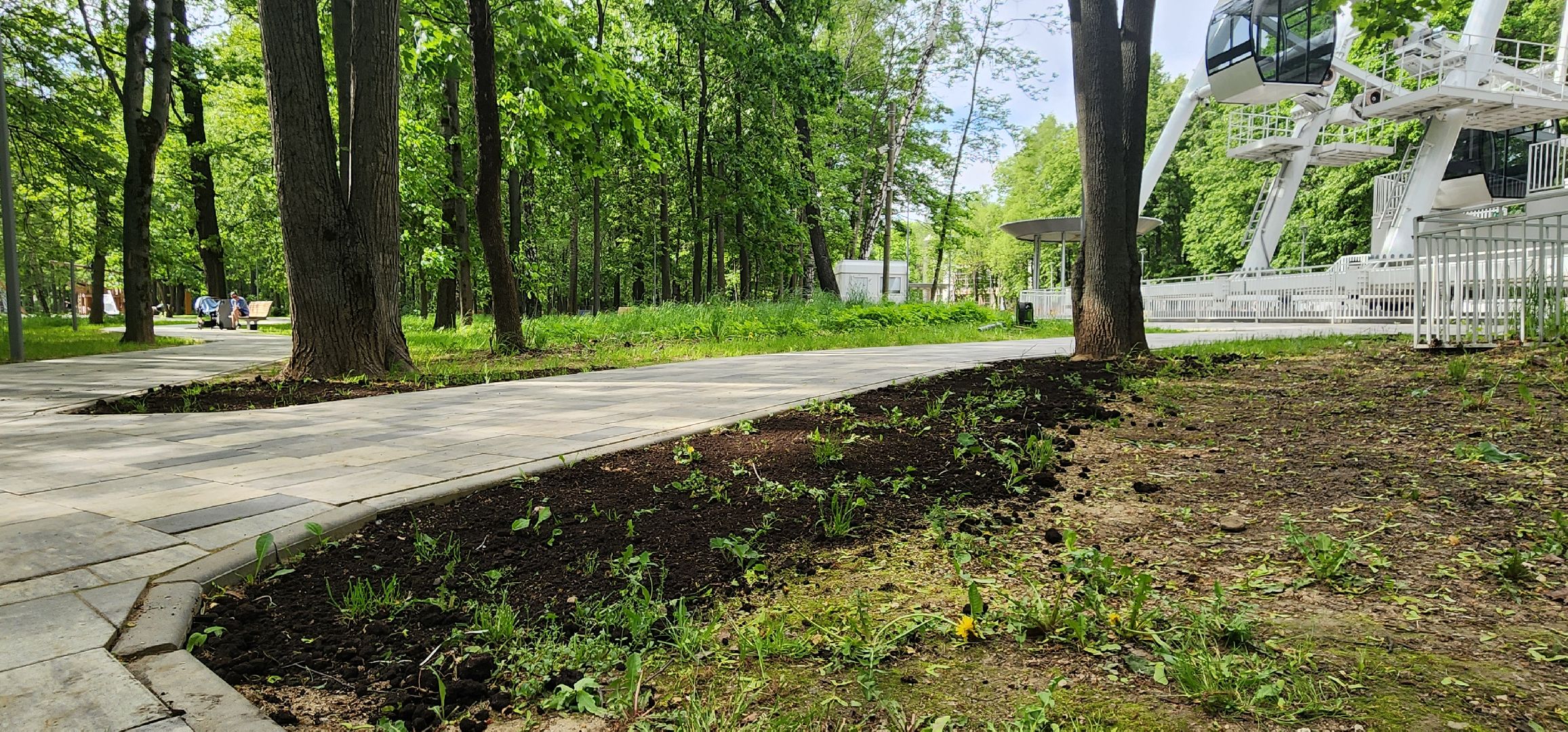 химки, благоустройство , парки,