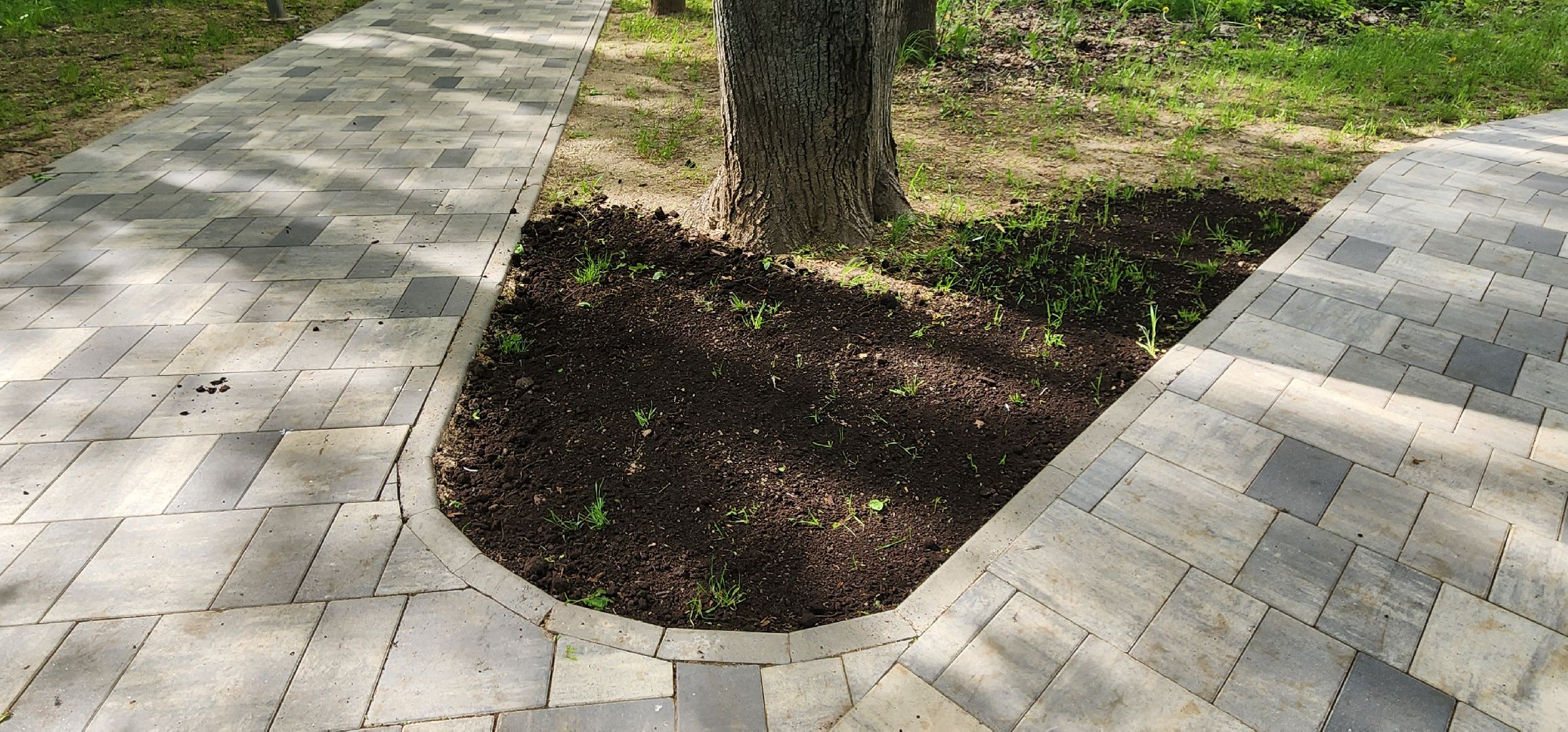 химки, благоустройство , парки,