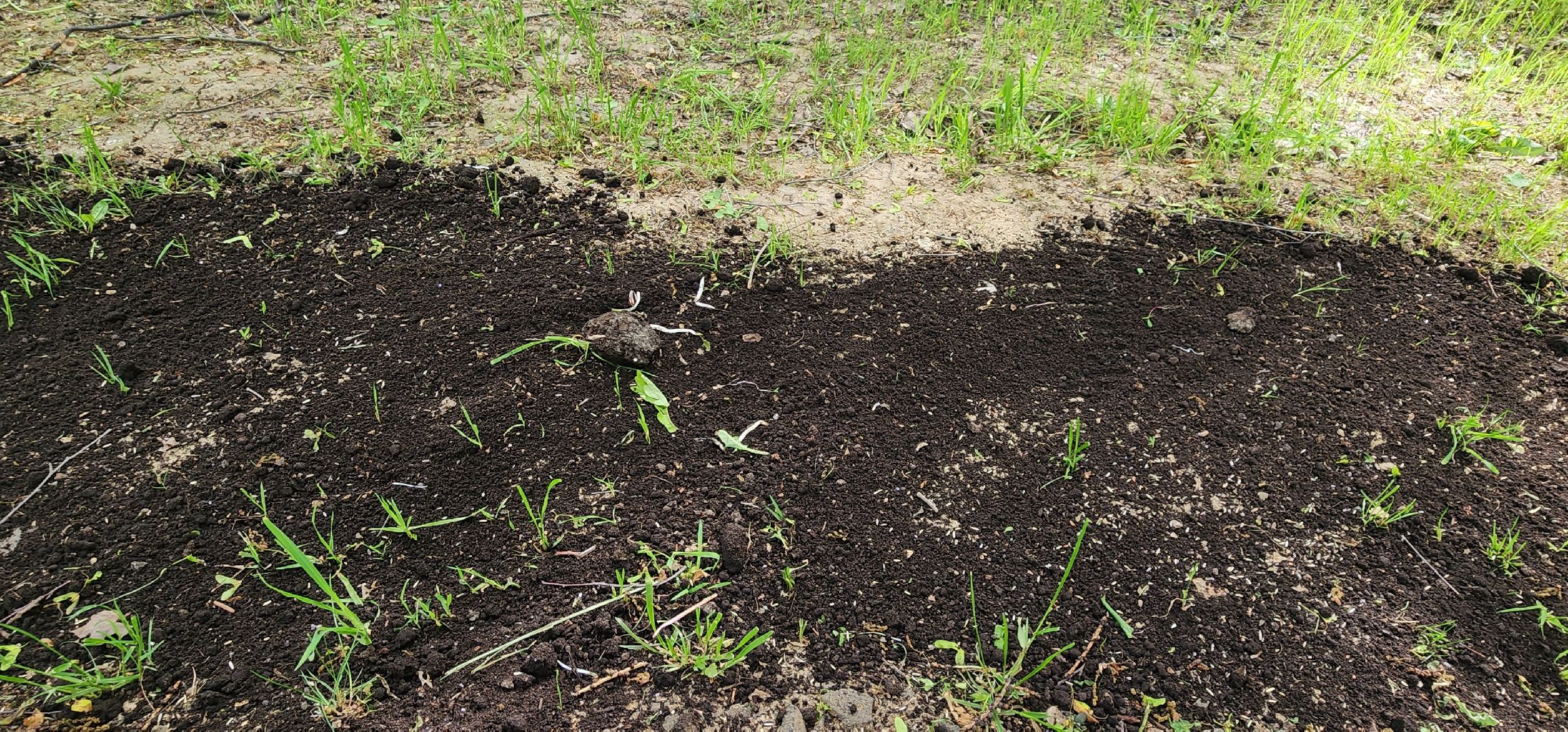 химки, благоустройство , парки,