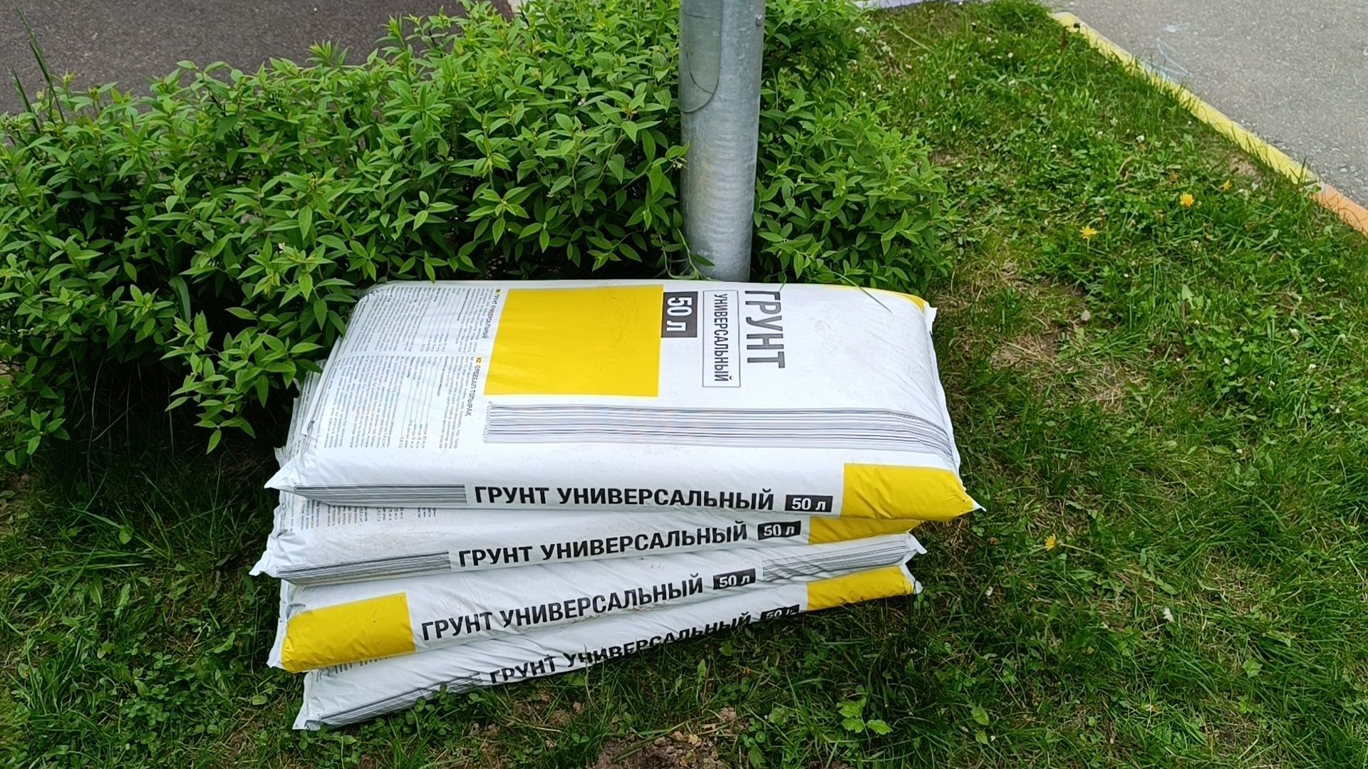 посадка деревьев, лобня, дети,