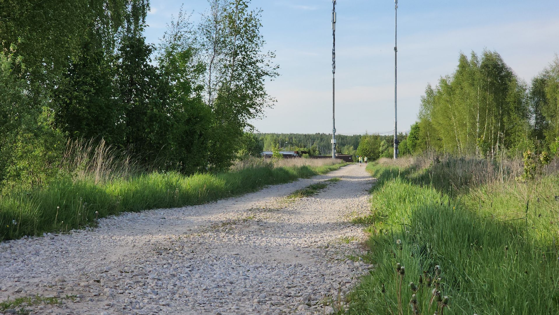 ступино, власть, выездная администрация,
