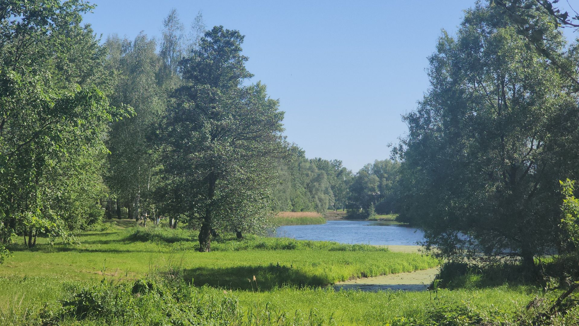 павловский посад, благоустройство , парк,