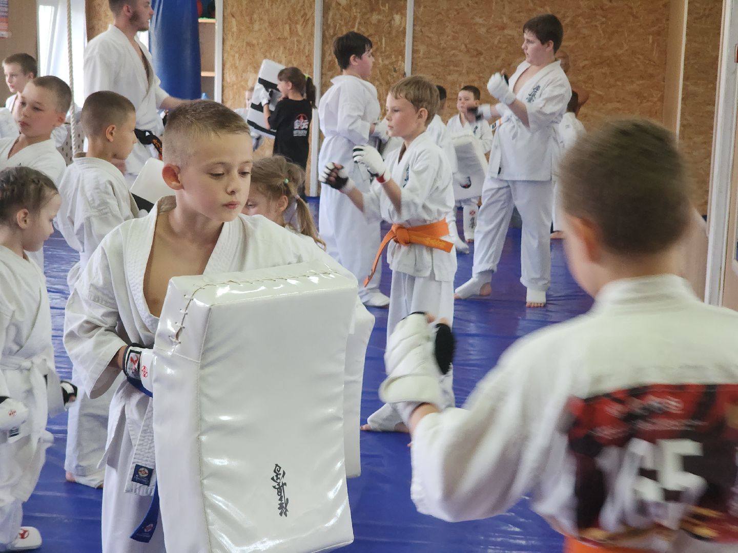 карате, ликино-дулево, орехово-зуевский округ,стадион сокол,