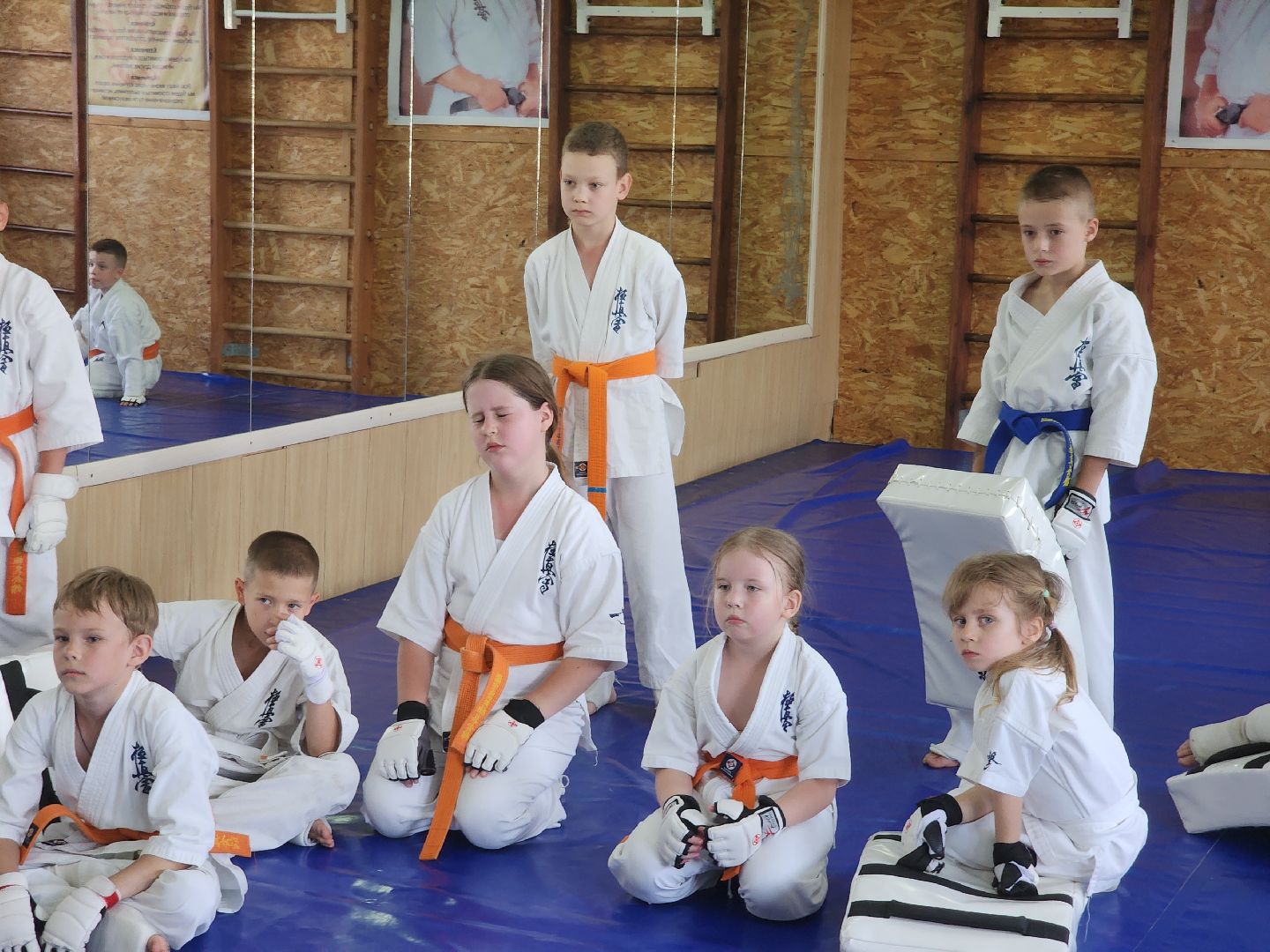 карате, ликино-дулево, орехово-зуевский округ,стадион сокол,