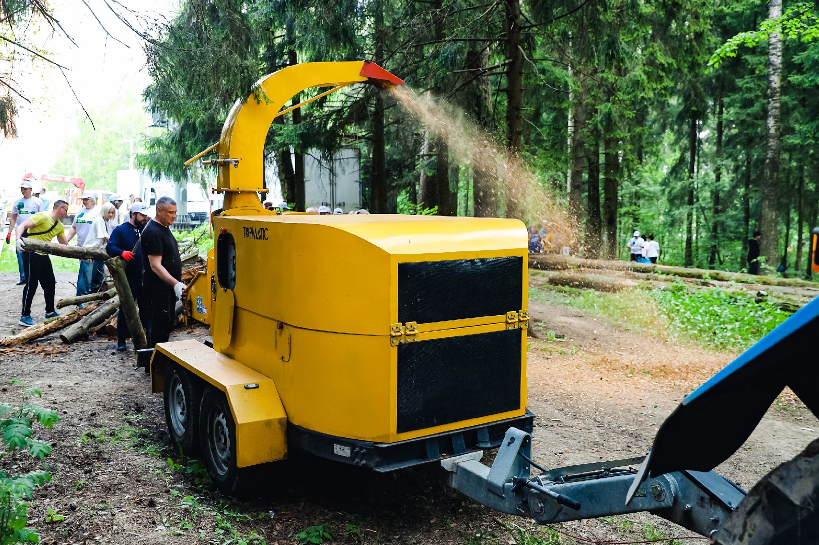 экоакция, лес, мусор,