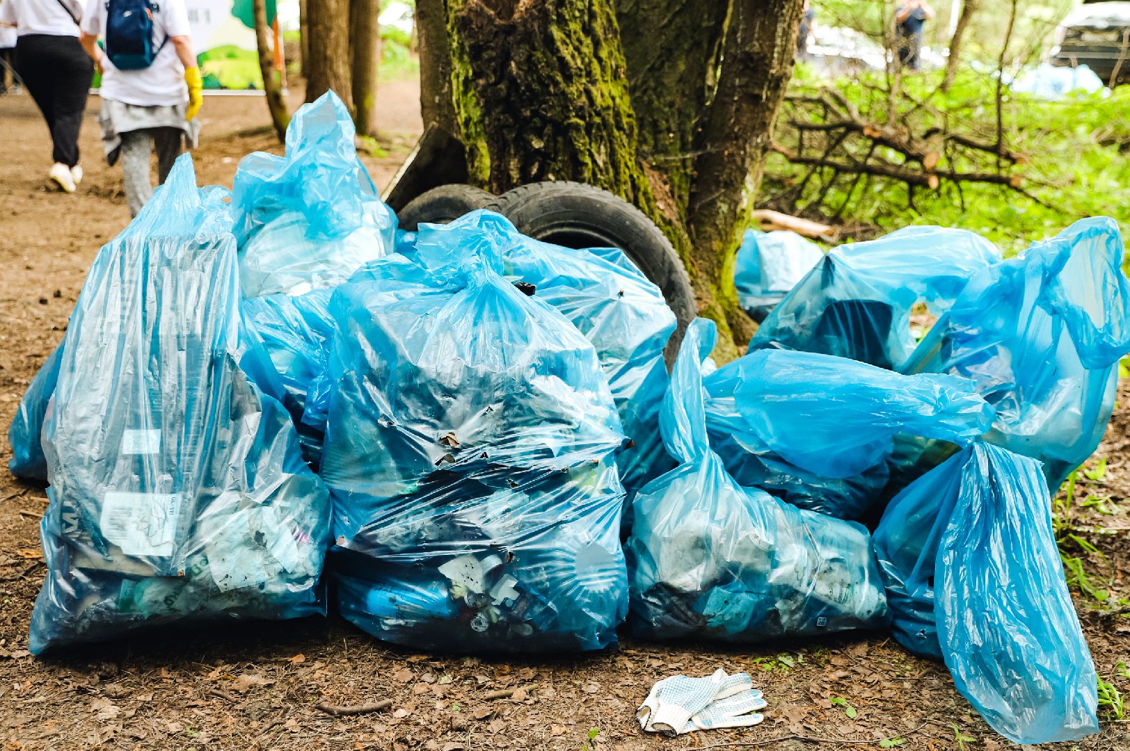 экоакция, лес, мусор,