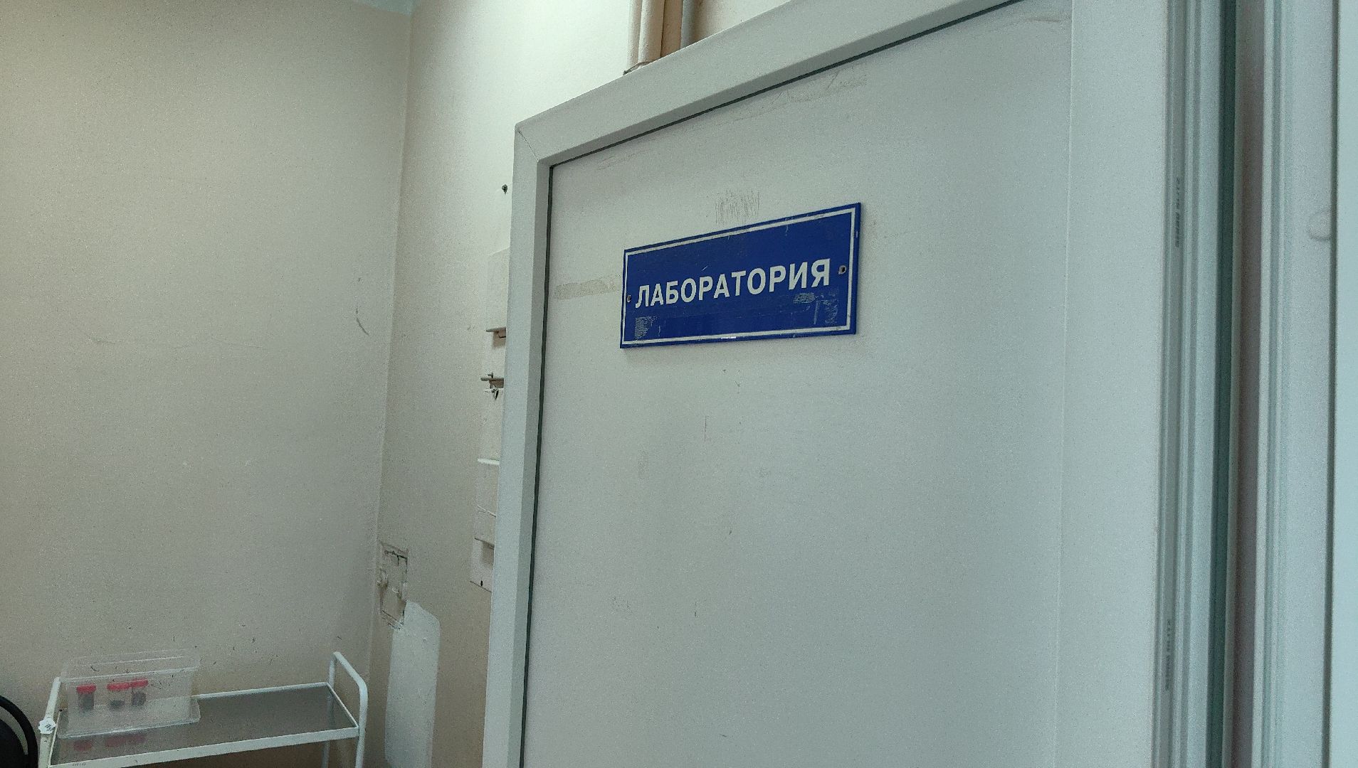 диспансеризация, анализы, ЭКГ, давление, СНИЛС,