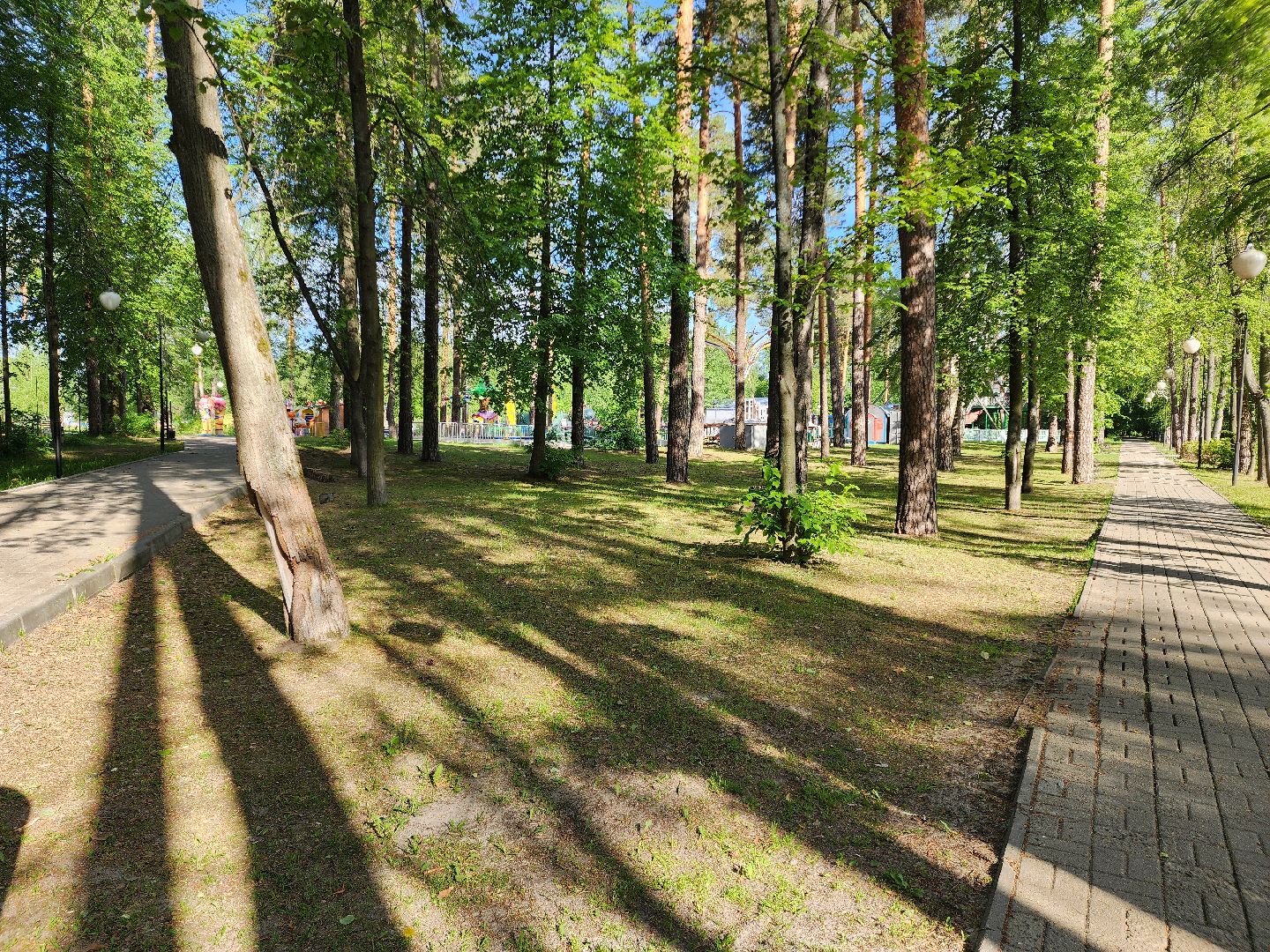 парки подмосковья, шатурский парк, благоустройство 2025, шатура,